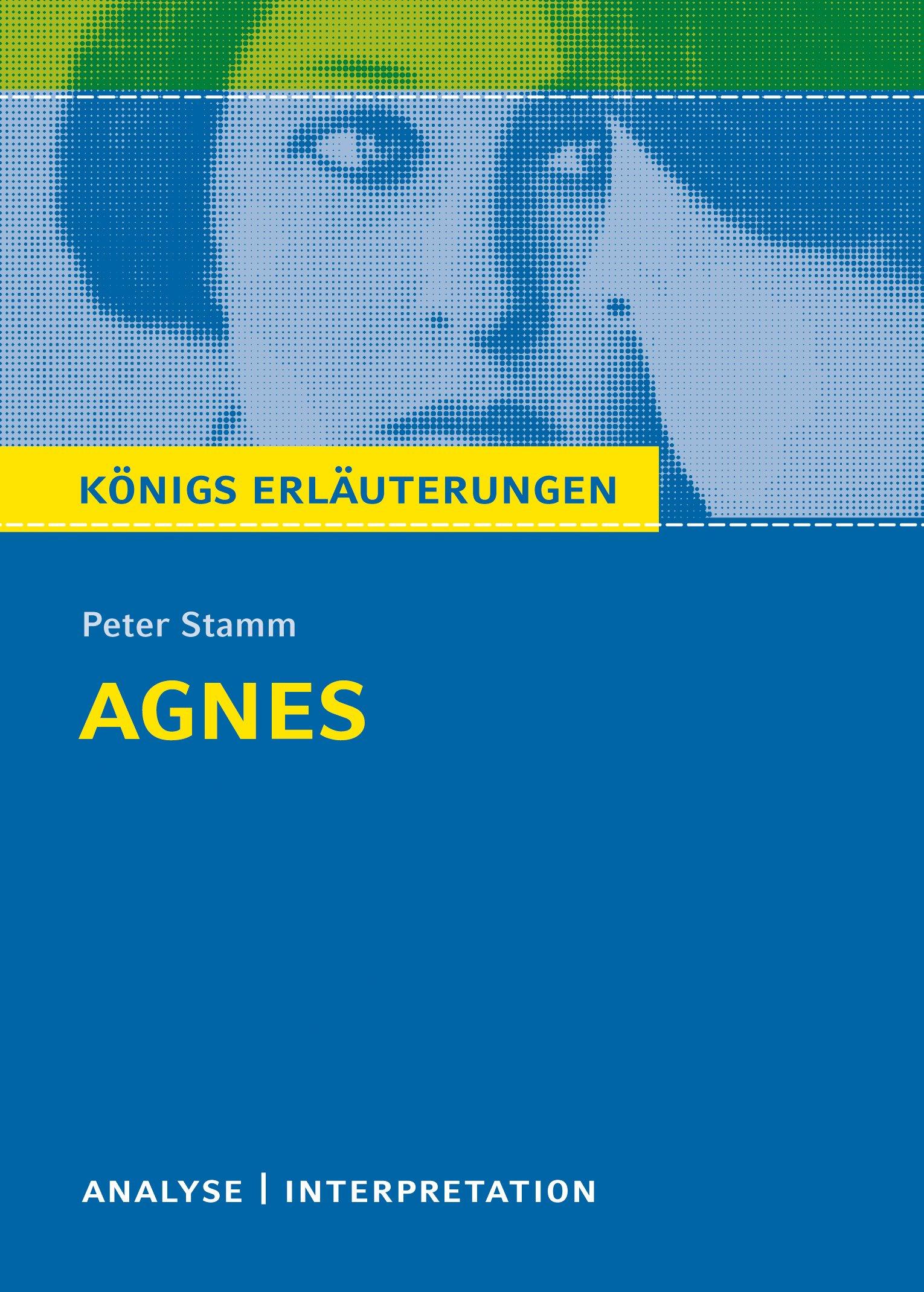 Agnes. Textanalyse und Interpretation zu Peter Stamm. Agnes