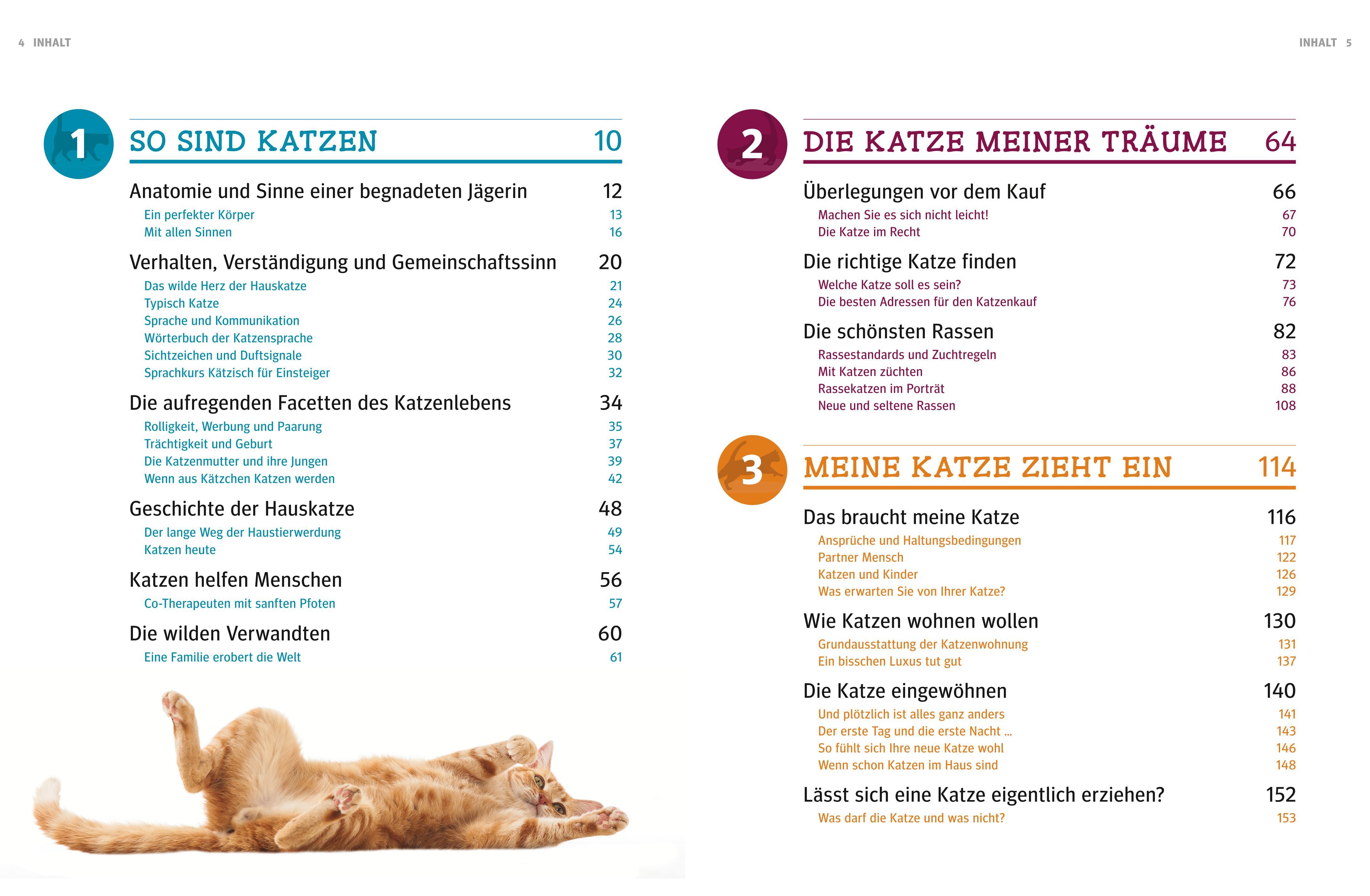 Katzen. Das große Praxishandbuch