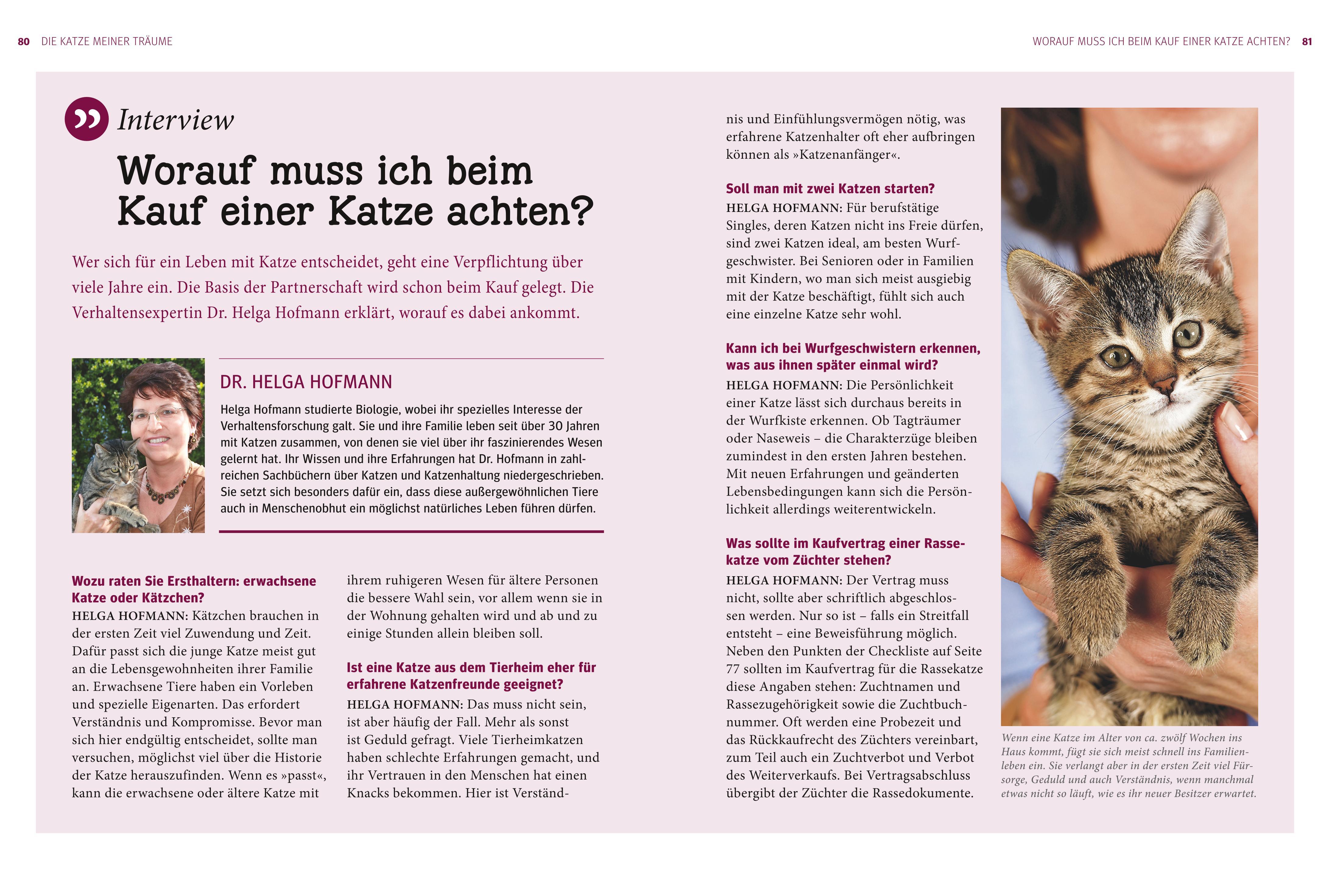 Katzen. Das große Praxishandbuch