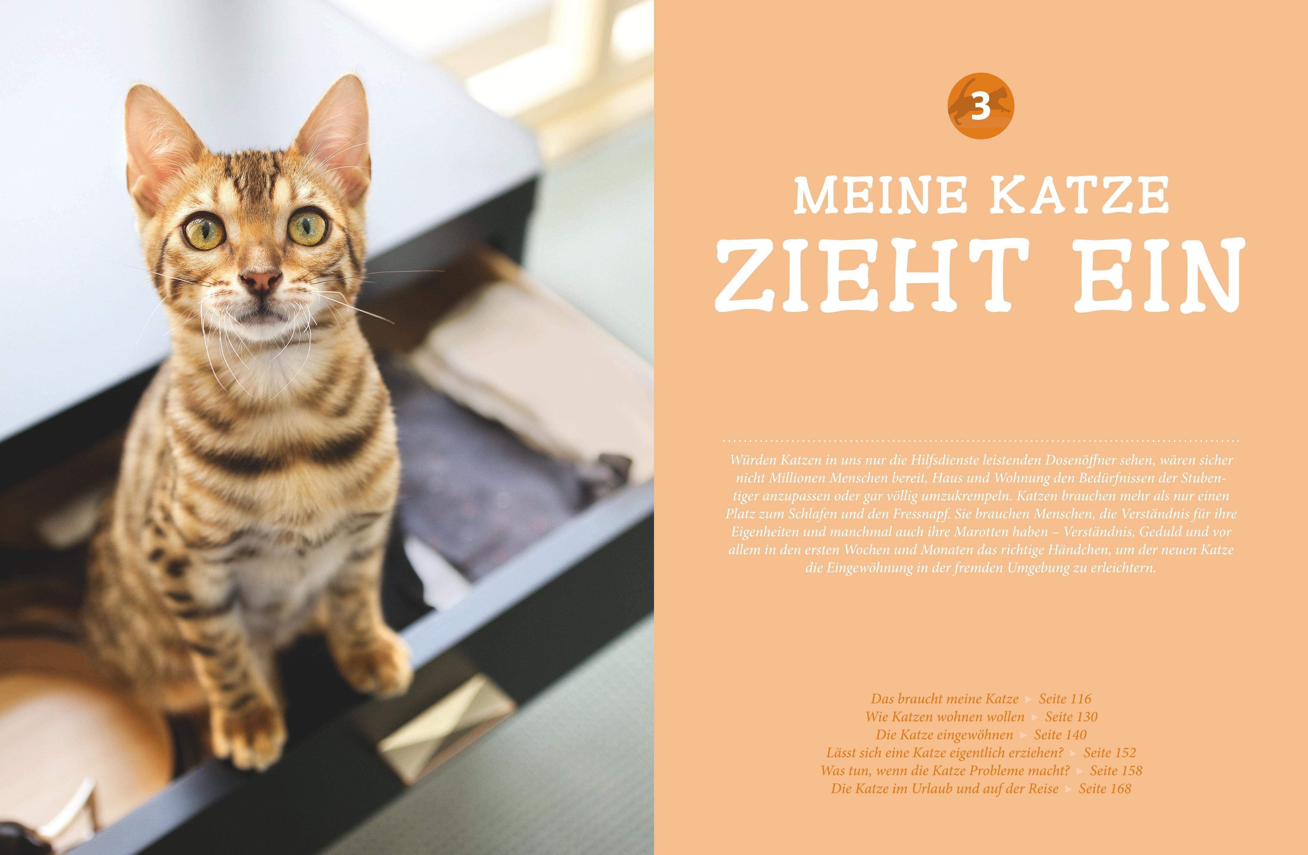 Katzen. Das große Praxishandbuch