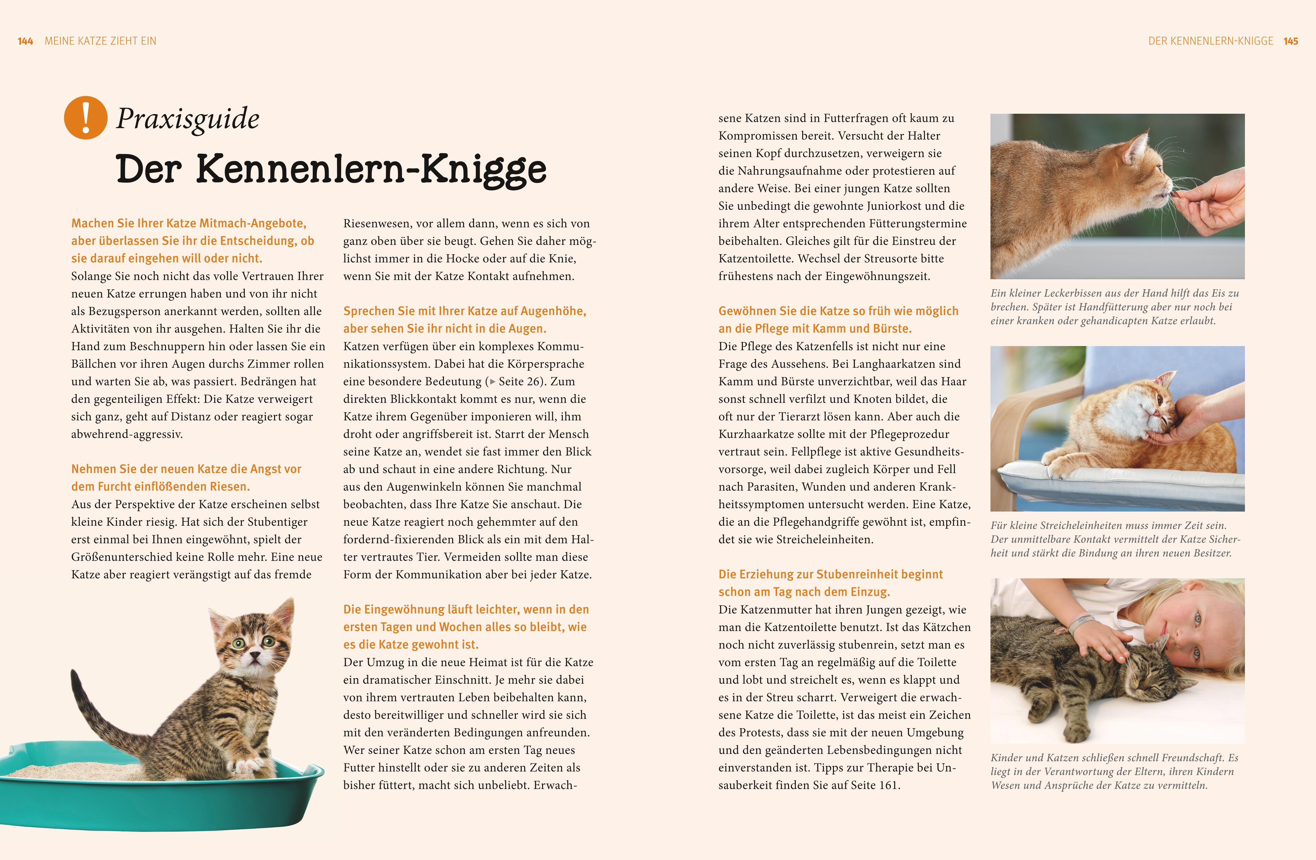 Katzen. Das große Praxishandbuch