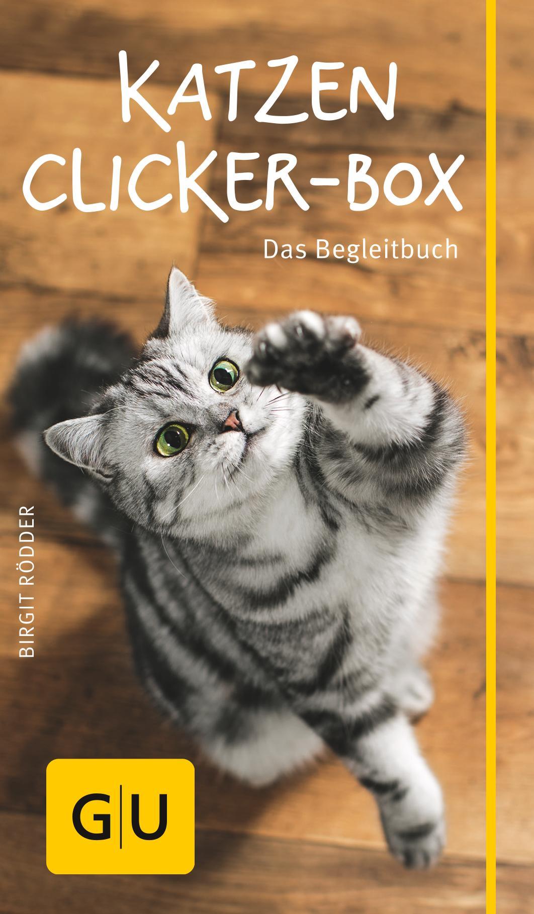 Katzen-Clicker-Box