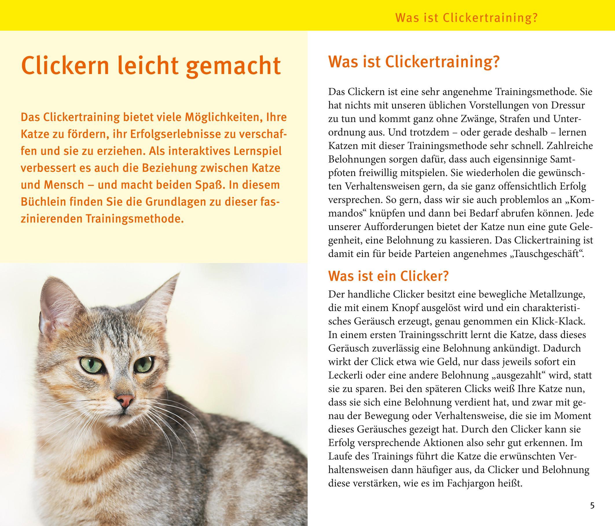 Katzen-Clicker-Box