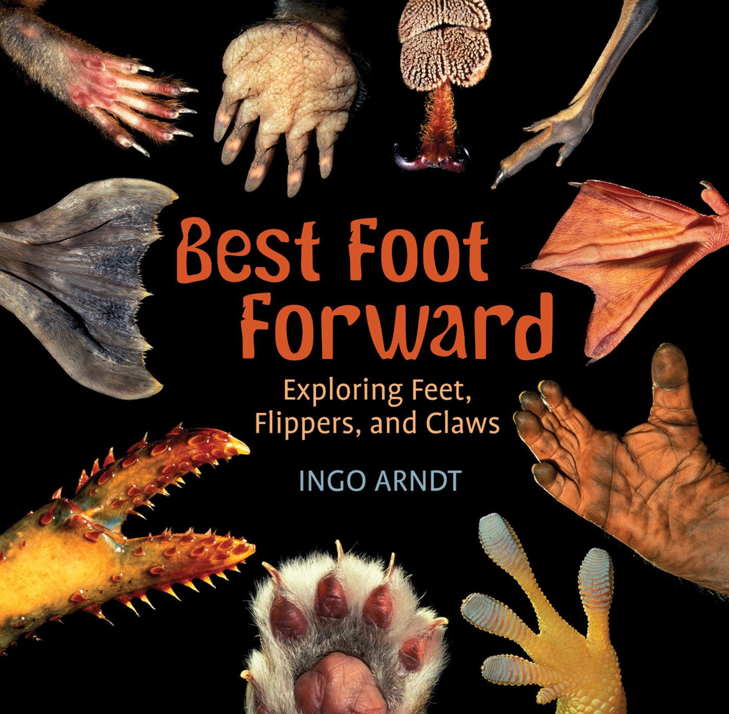 Best Foot Forward: Exploring Feet, Flippers, and Claws