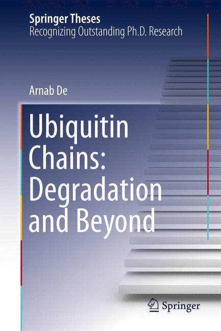 Ubiquitin Chains: Degradation and Beyond