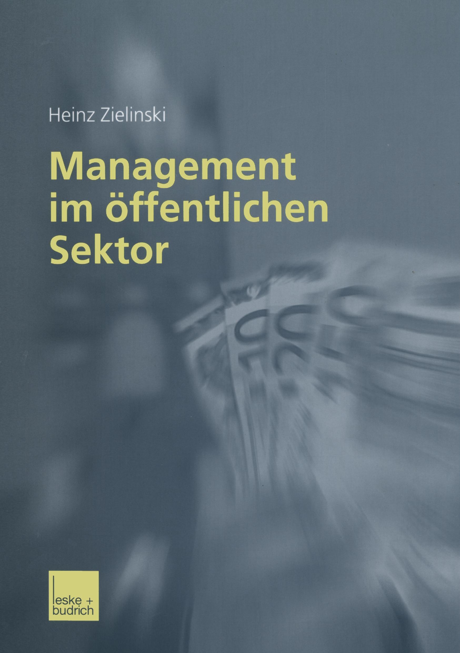 Management im öffentlichen Sektor