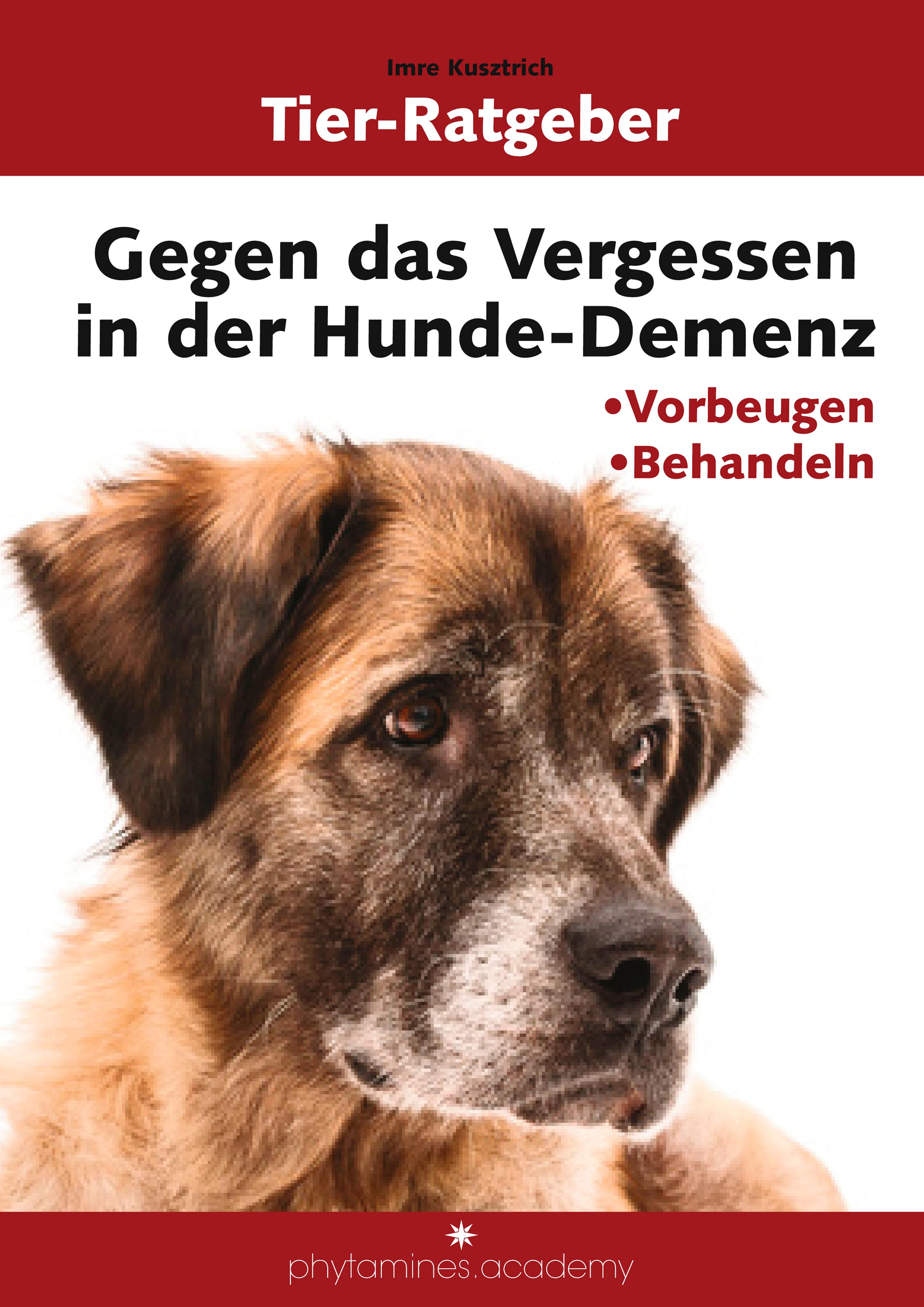 Gegen das Vergessen in der Hunde-Demenz