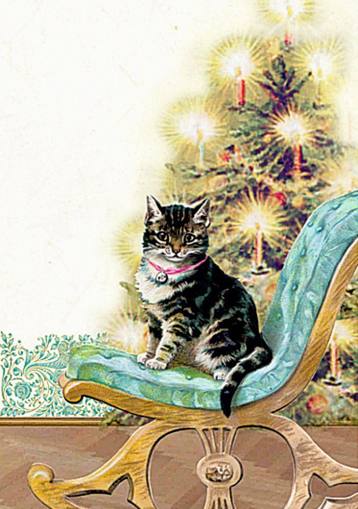 Wand-Adventskalender - Katzen im Advent