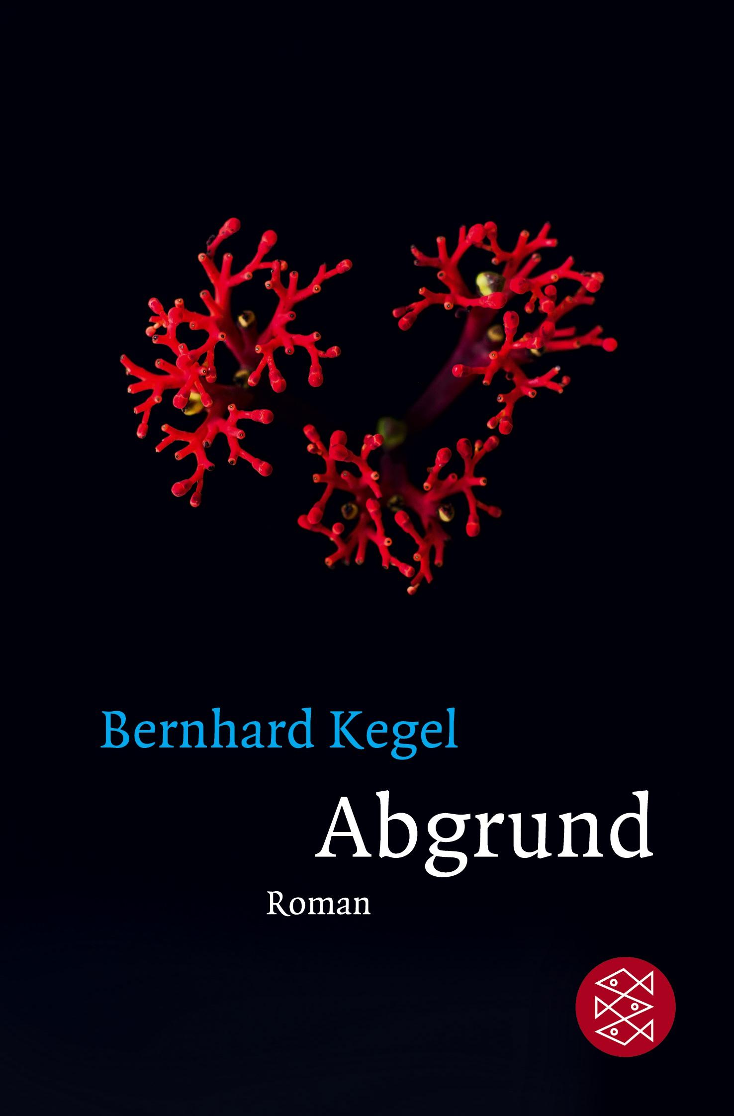 Abgrund