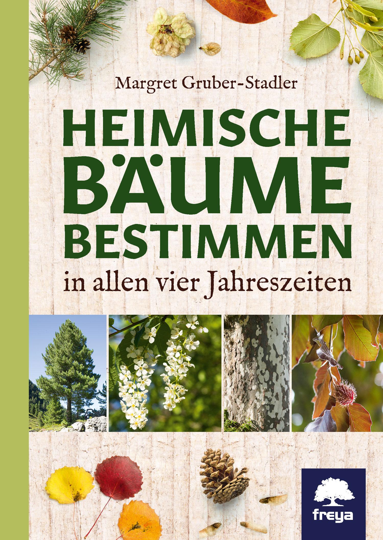 Heimische Bäume bestimmen