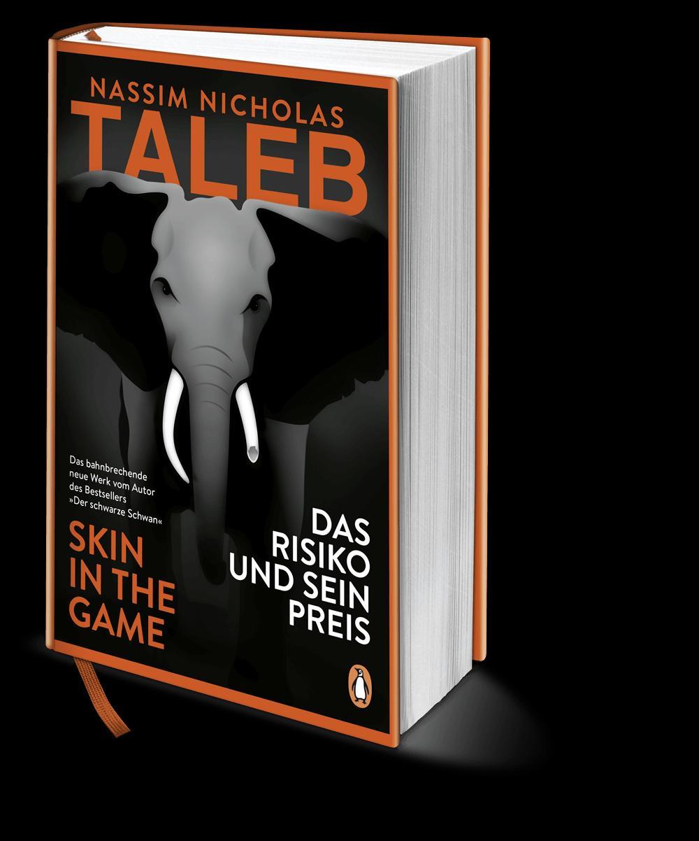 Das Risiko und sein Preis - Skin in the Game