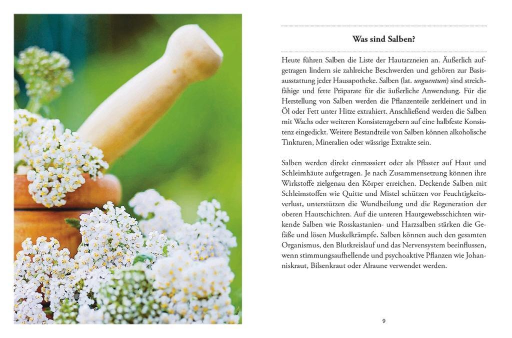 Das große kleine Buch: Heilsalben aus Wald und Wiese