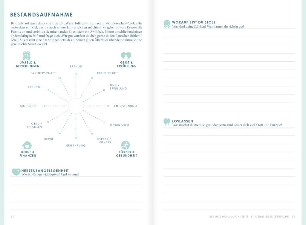 THE NEW YOU (mint) - Das Buch, das dein Leben verändert.