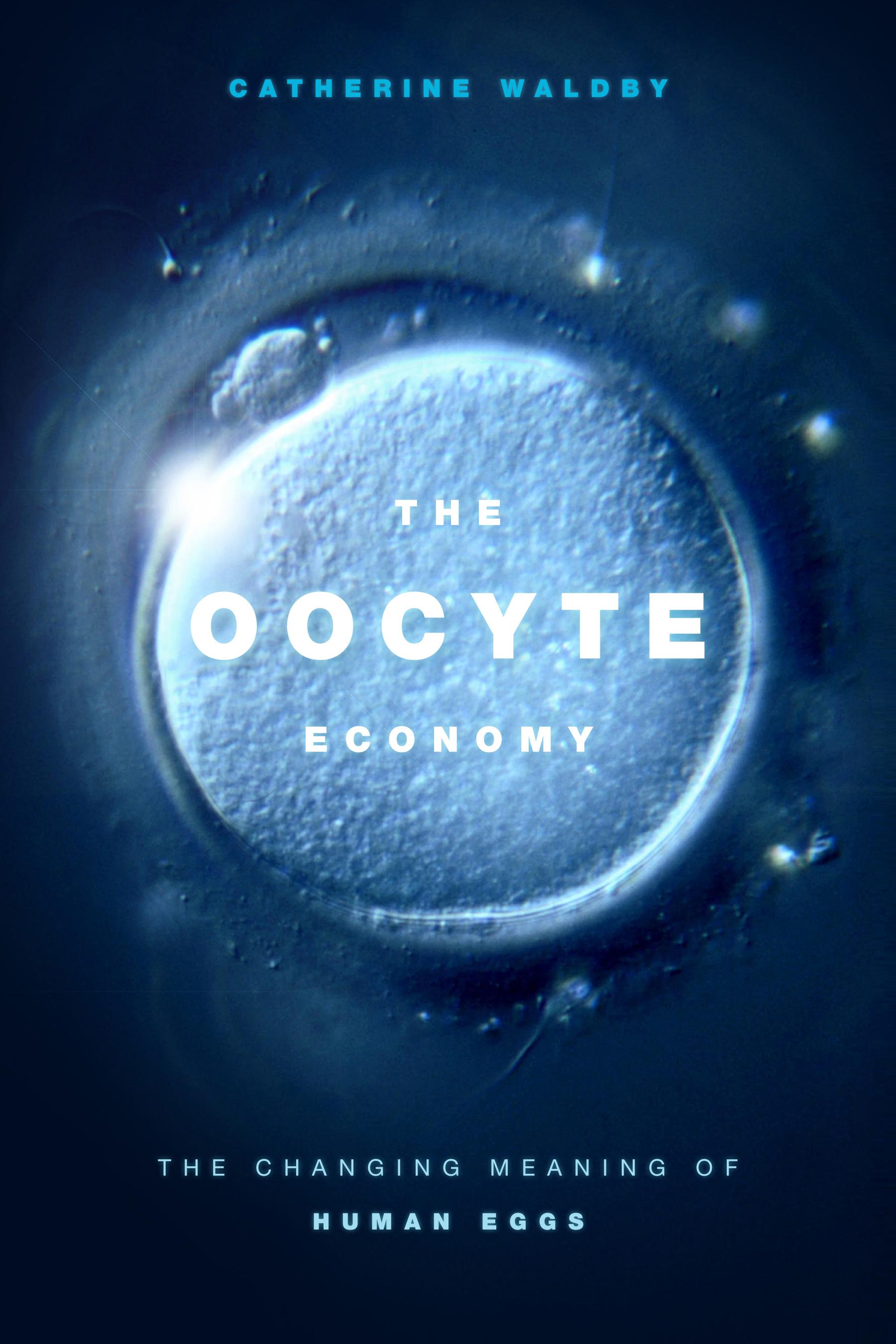 The Oocyte Economy