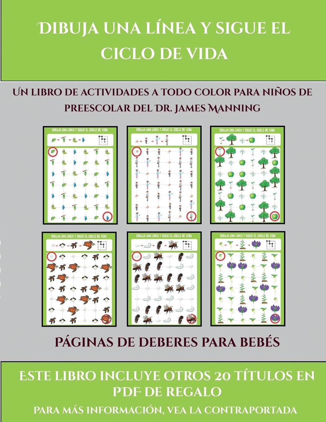 Páginas de deberes para bebés (Dibuja una línea y sigue el ciclo de vida)