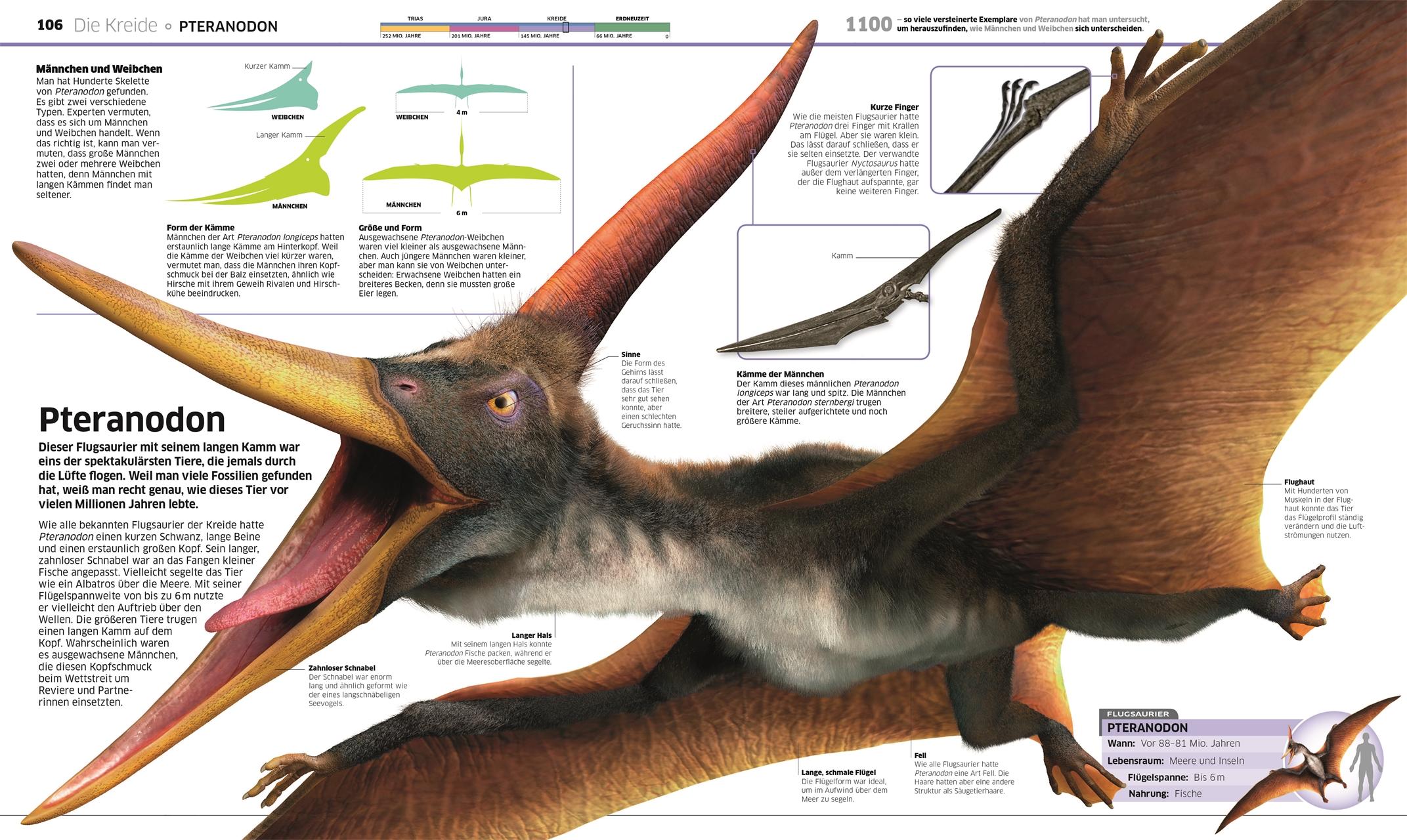 DK Wissen. Dinosaurier