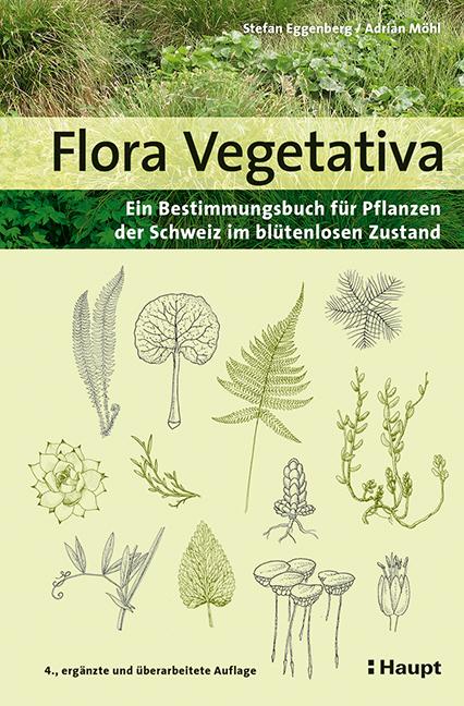 Flora Vegetativa