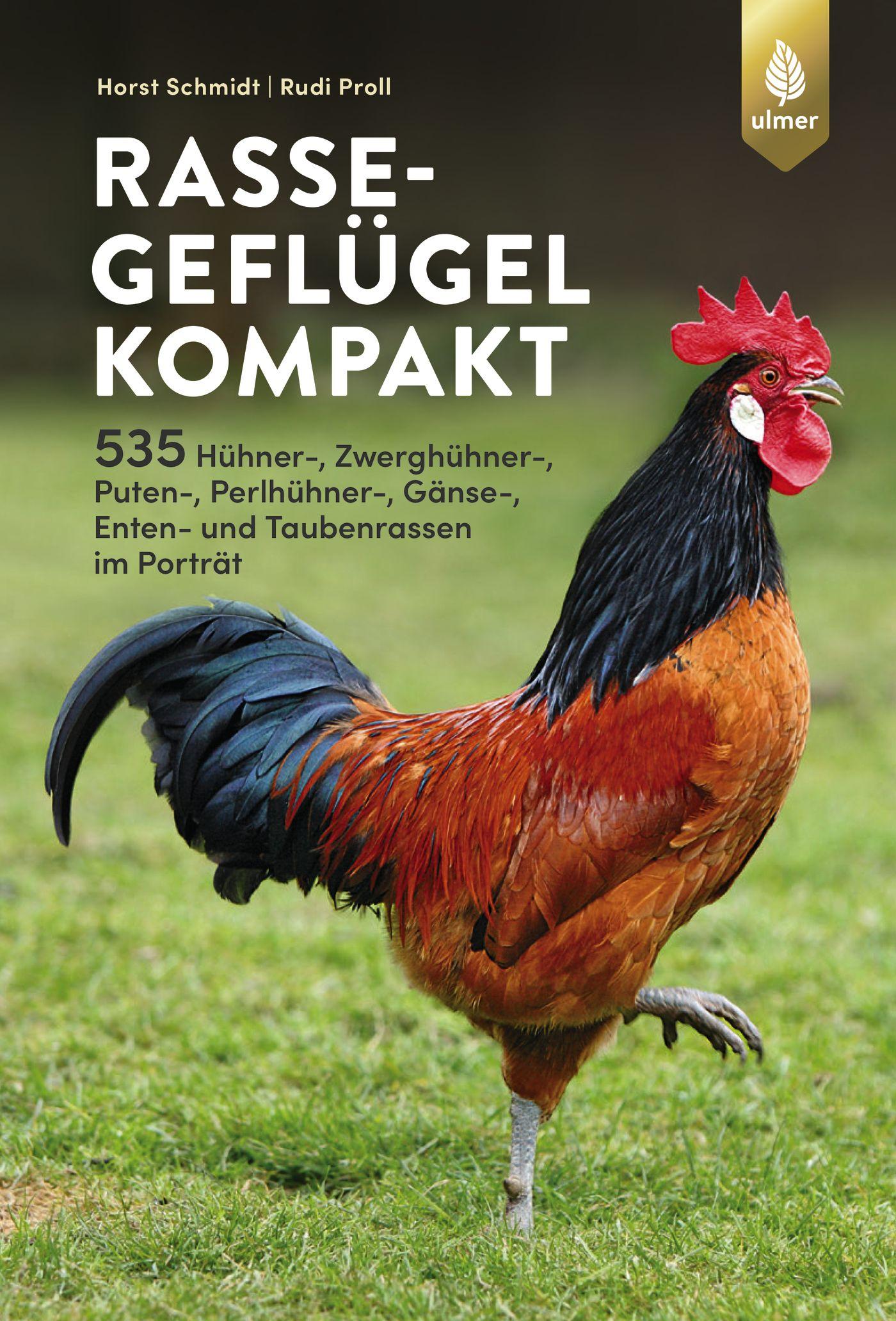 Rassegeflügel kompakt