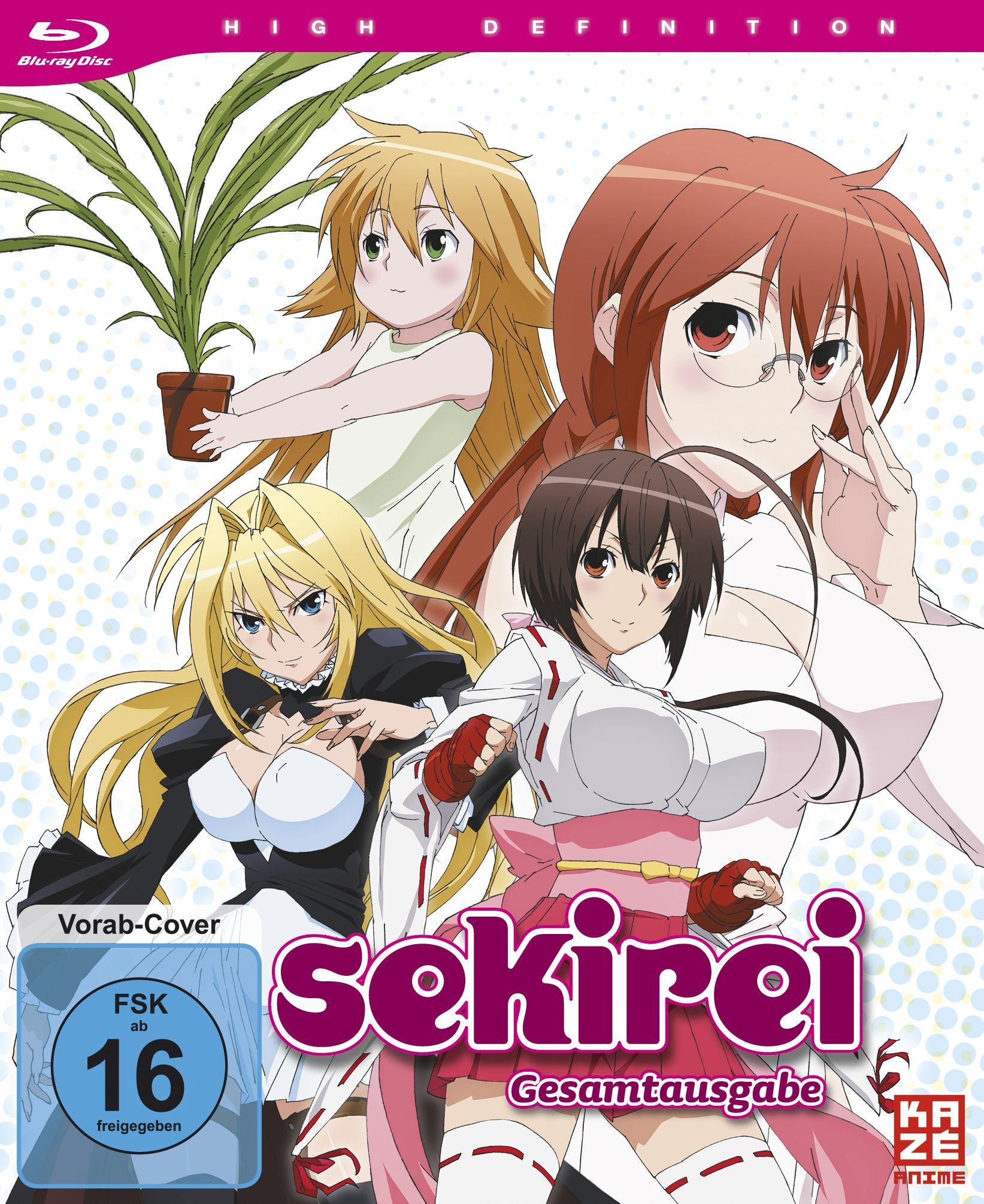 Sekirei - 1.Staffel - Gesamtausgabe (2 Blu-rays)