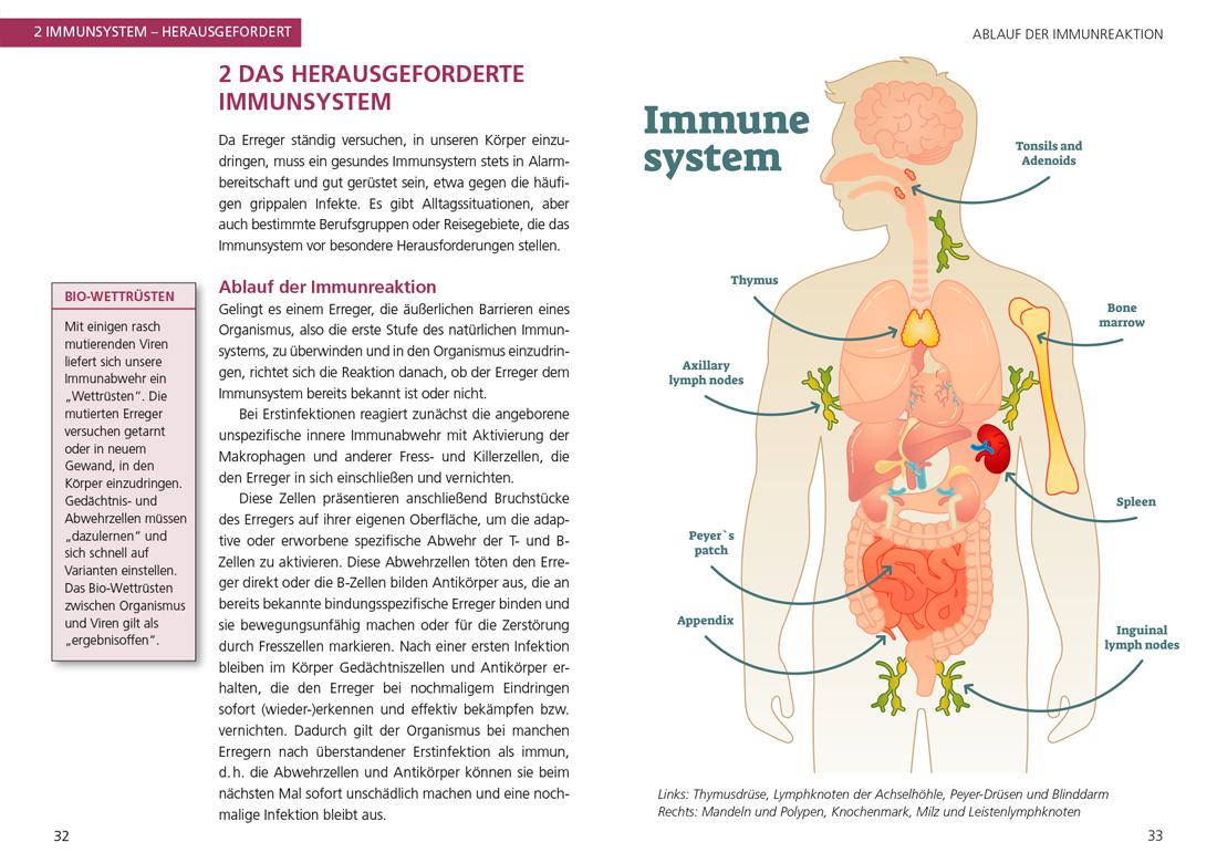 So stärken Sie Ihr Immunsystem