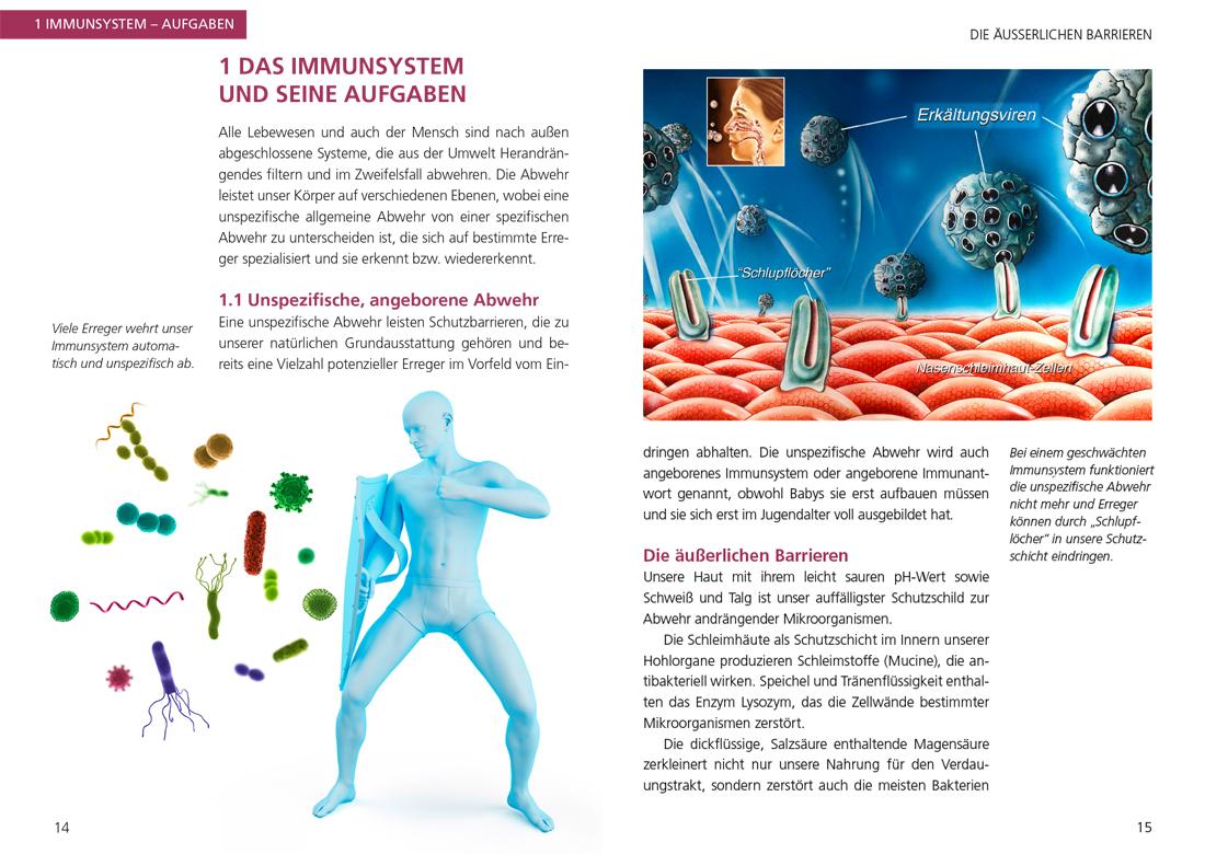 So stärken Sie Ihr Immunsystem