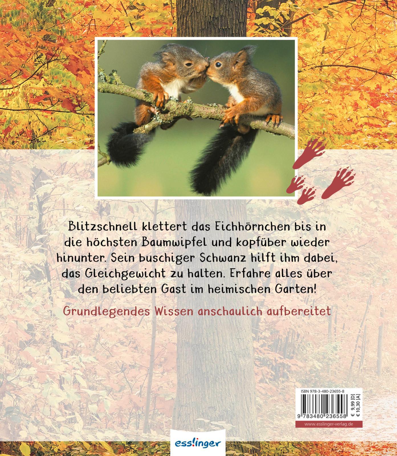 Meine große Tierbibliothek: Das Eichhörnchen