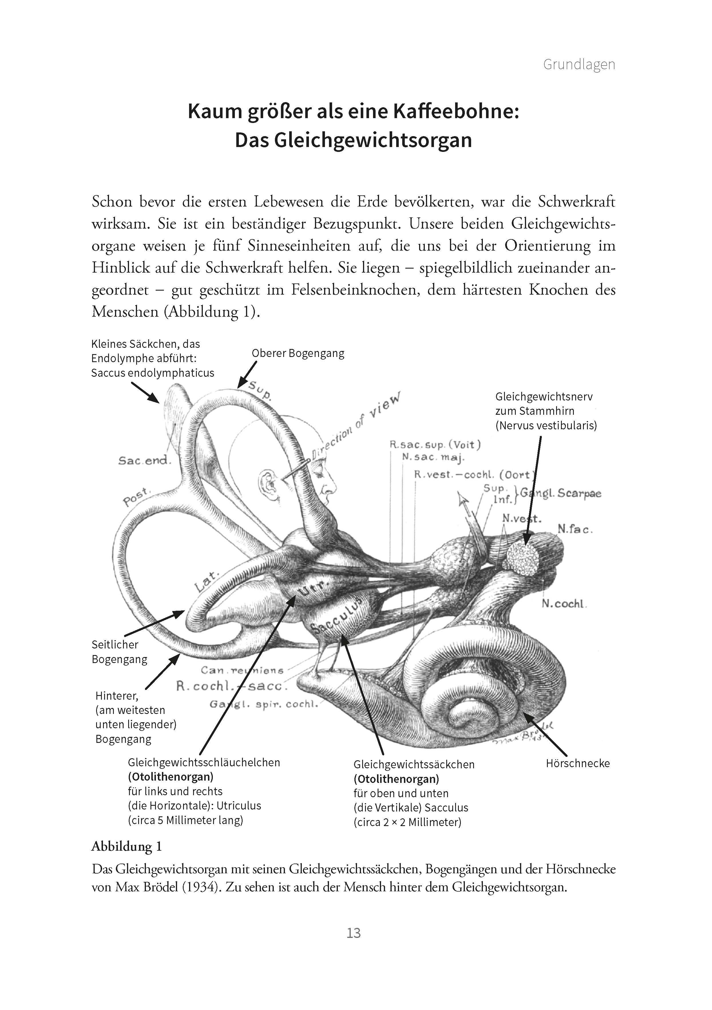 Hilfe bei Schwindel