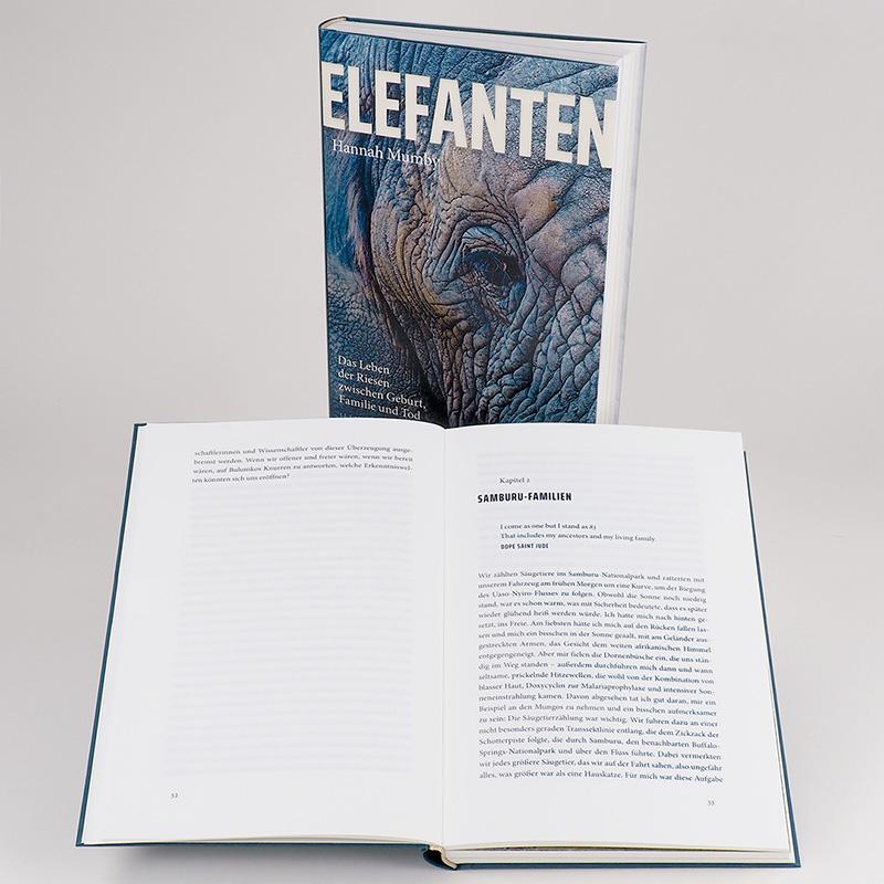 Elefanten