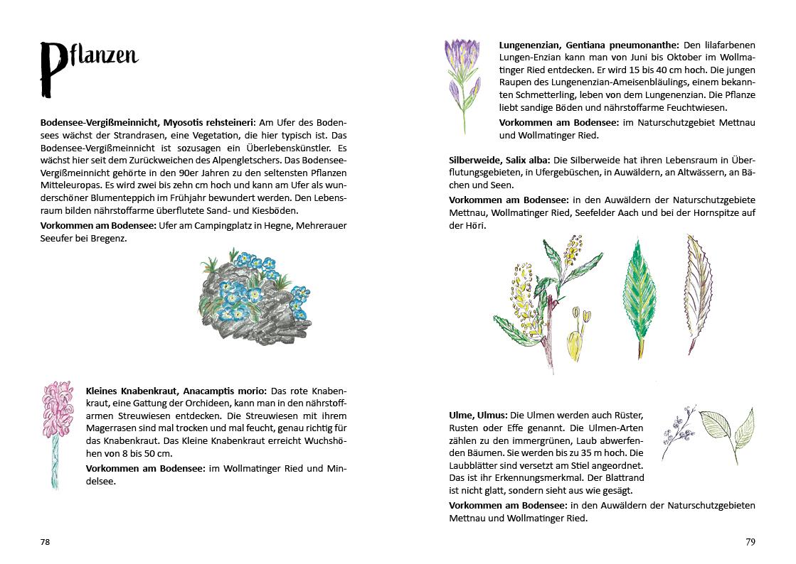 's Heimatbüchle vom Bodensee