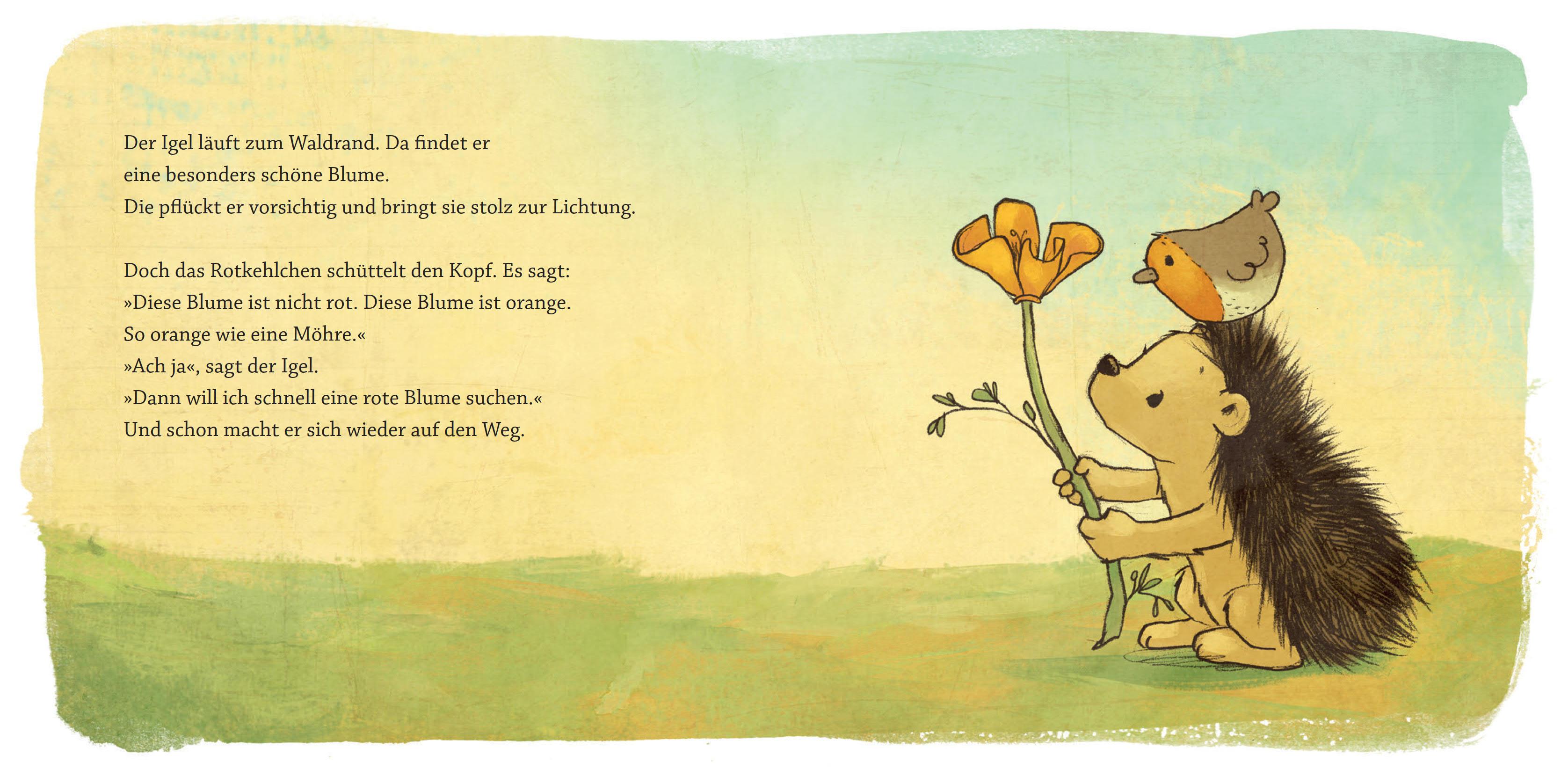 Eine Blume für den Hasen (Pappbilderbuch)