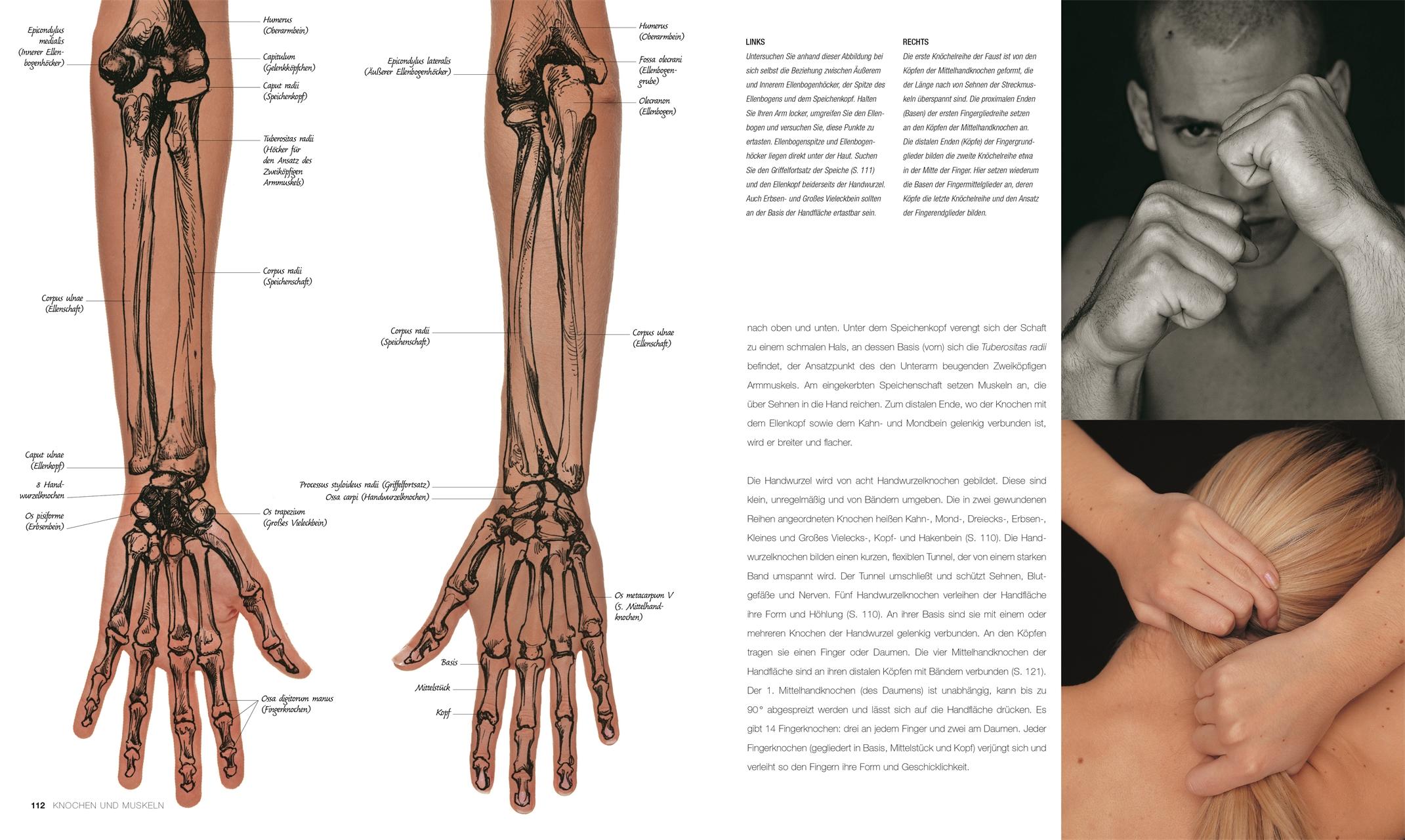 Anatomie für Künstler