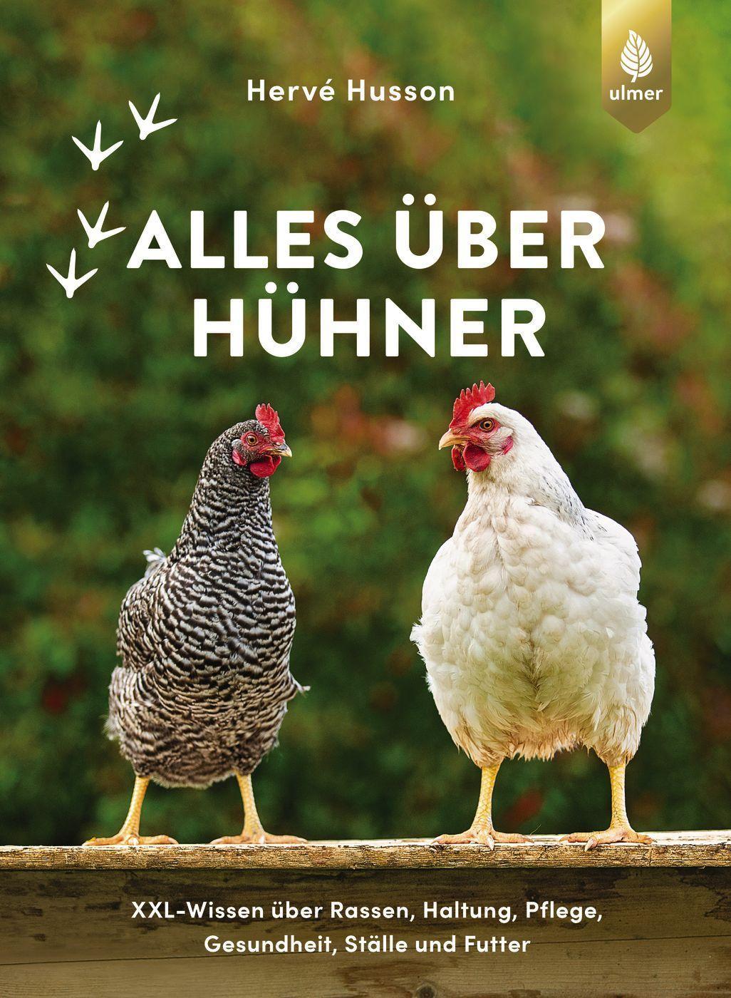 Alles über Hühner