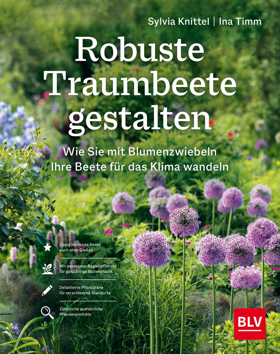 Robuste Traumbeete gestalten