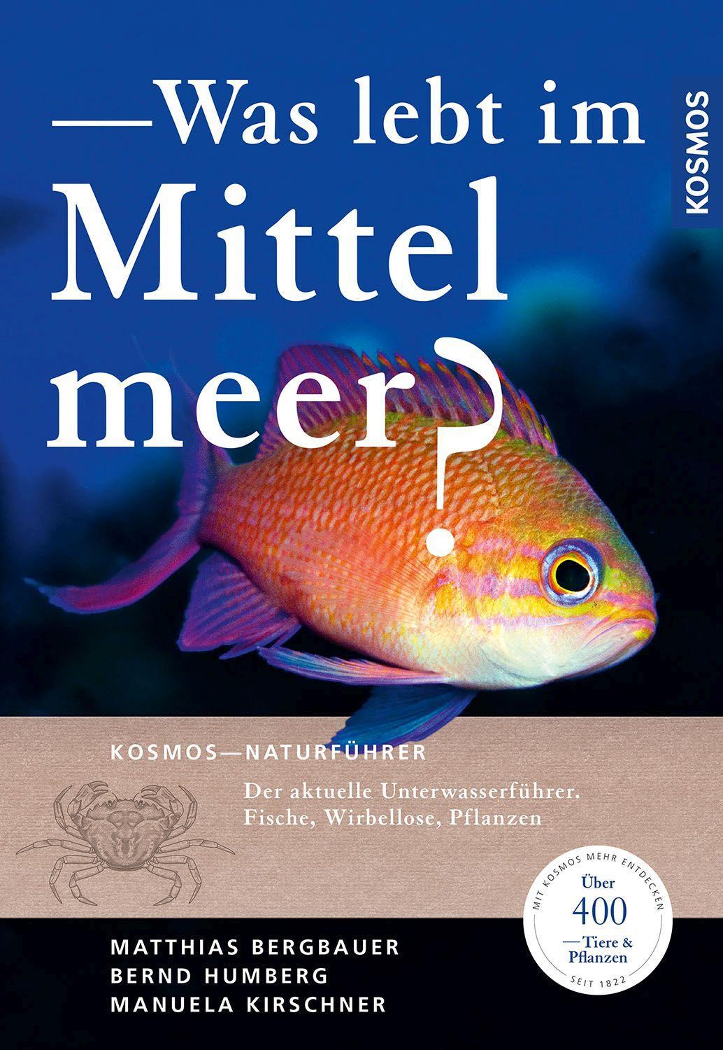 Was lebt im Mittelmeer?