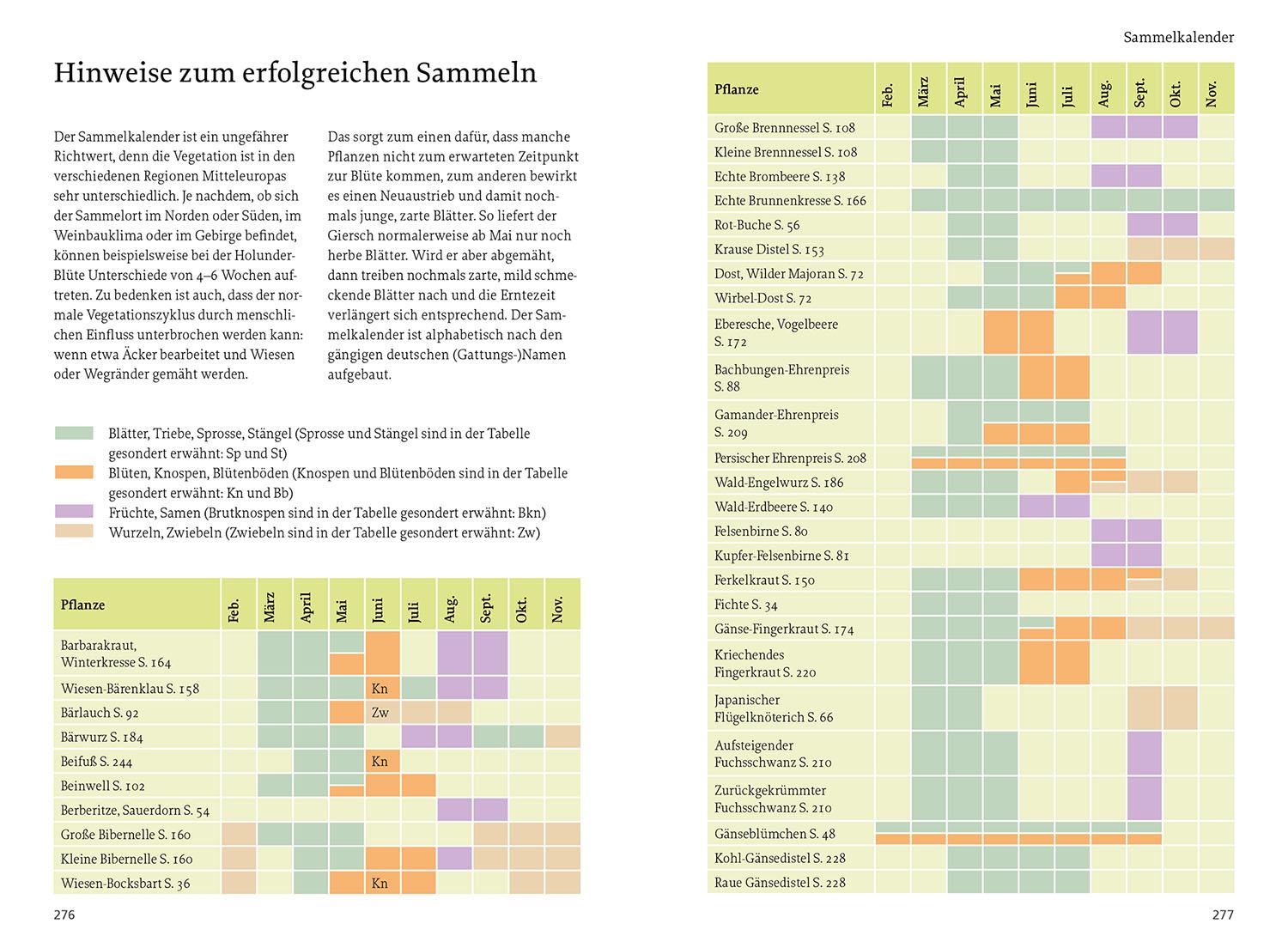 Unsere essbaren Wildpflanzen