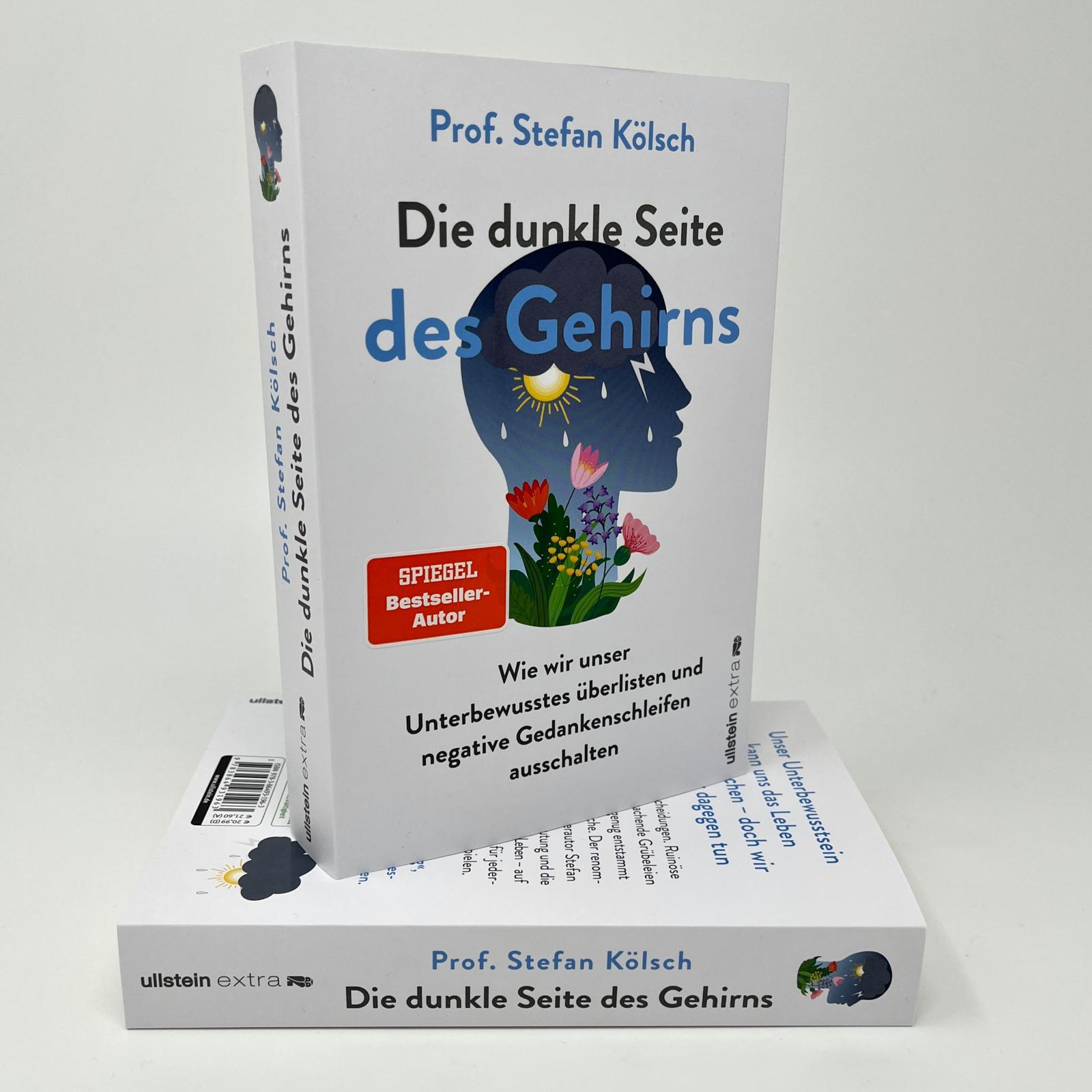 Die dunkle Seite des Gehirns