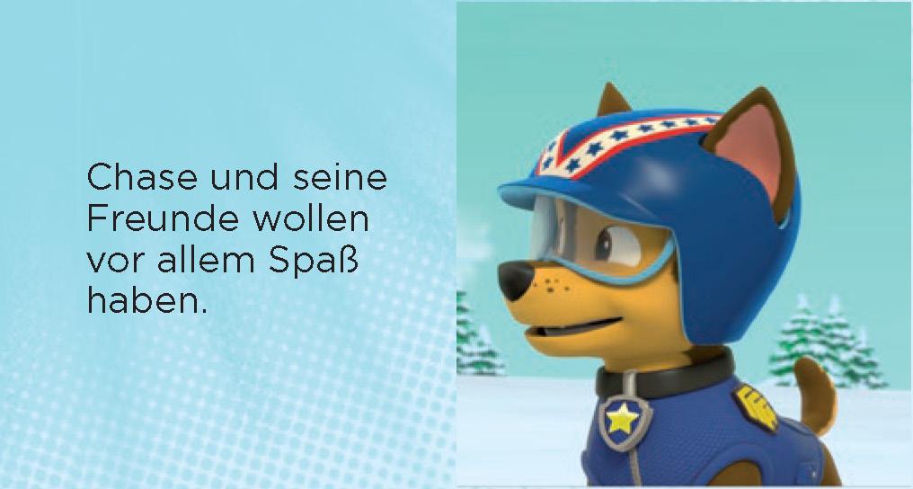 PAW Patrol Mein Adventskalender