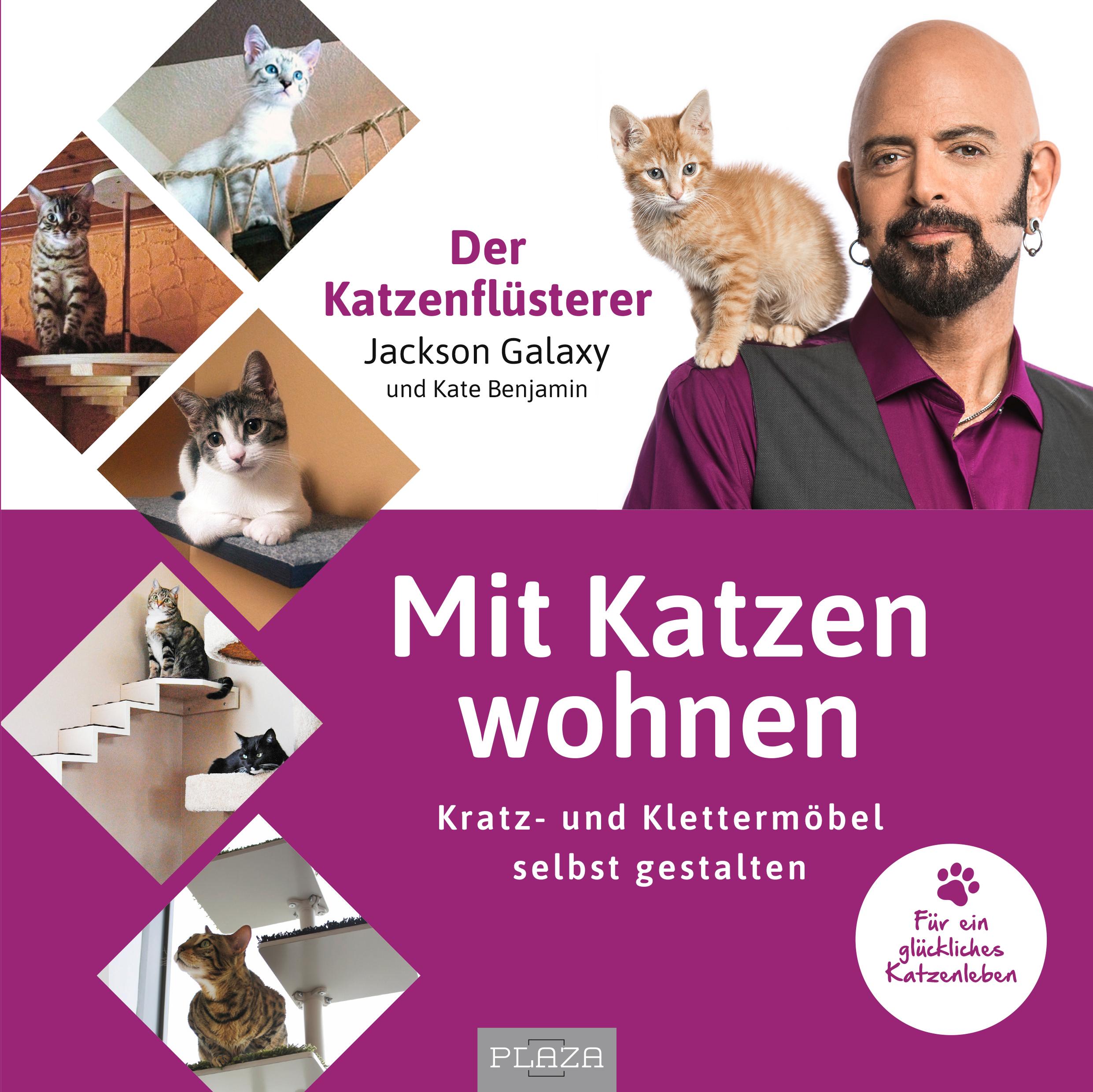 Mit Katzen wohnen