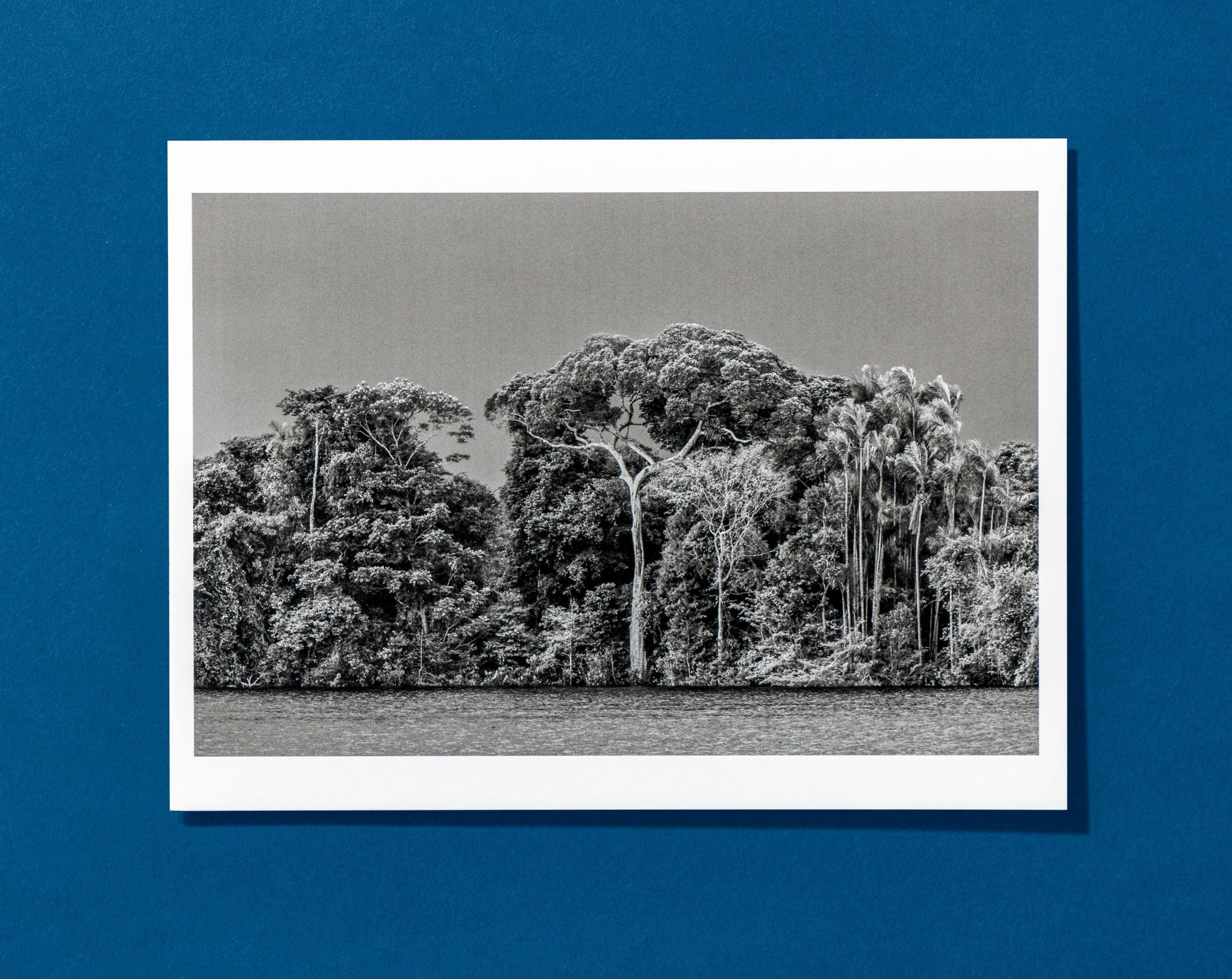 Sebastião Salgado. Amazônia. Postcard Set