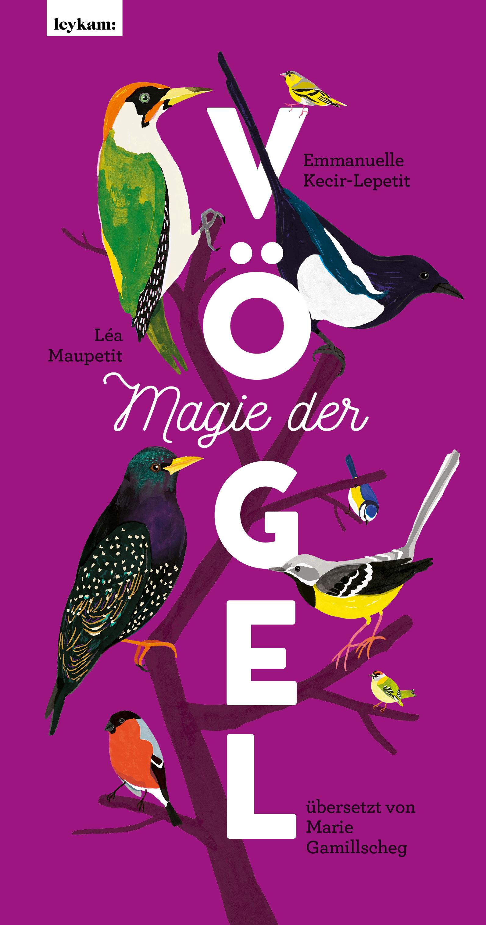 Magie der Vögel