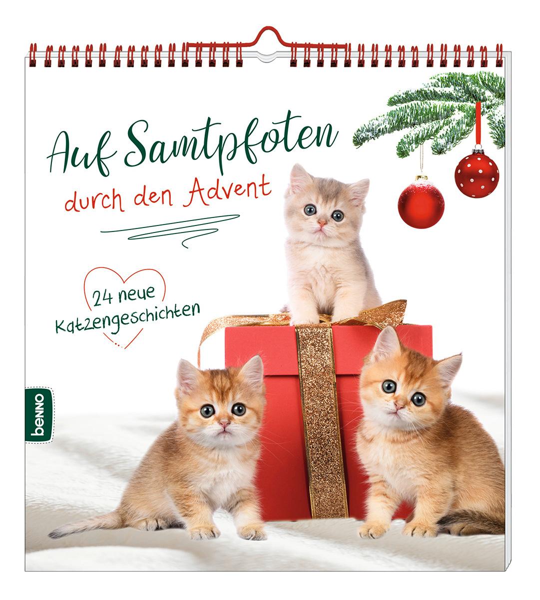 Auf Samtpfoten durch den Advent