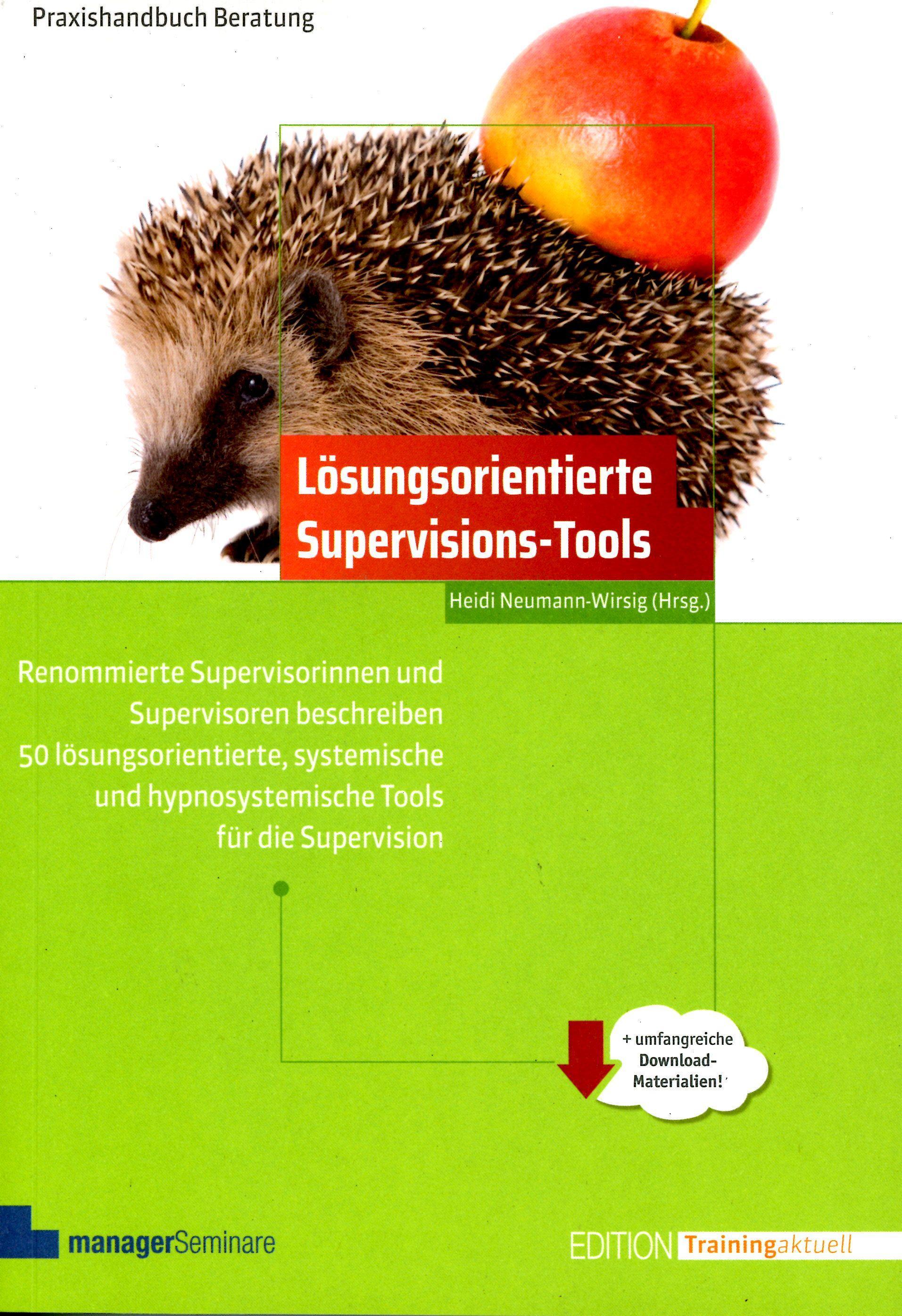 Lösungsorientierte Supervisions-Tools