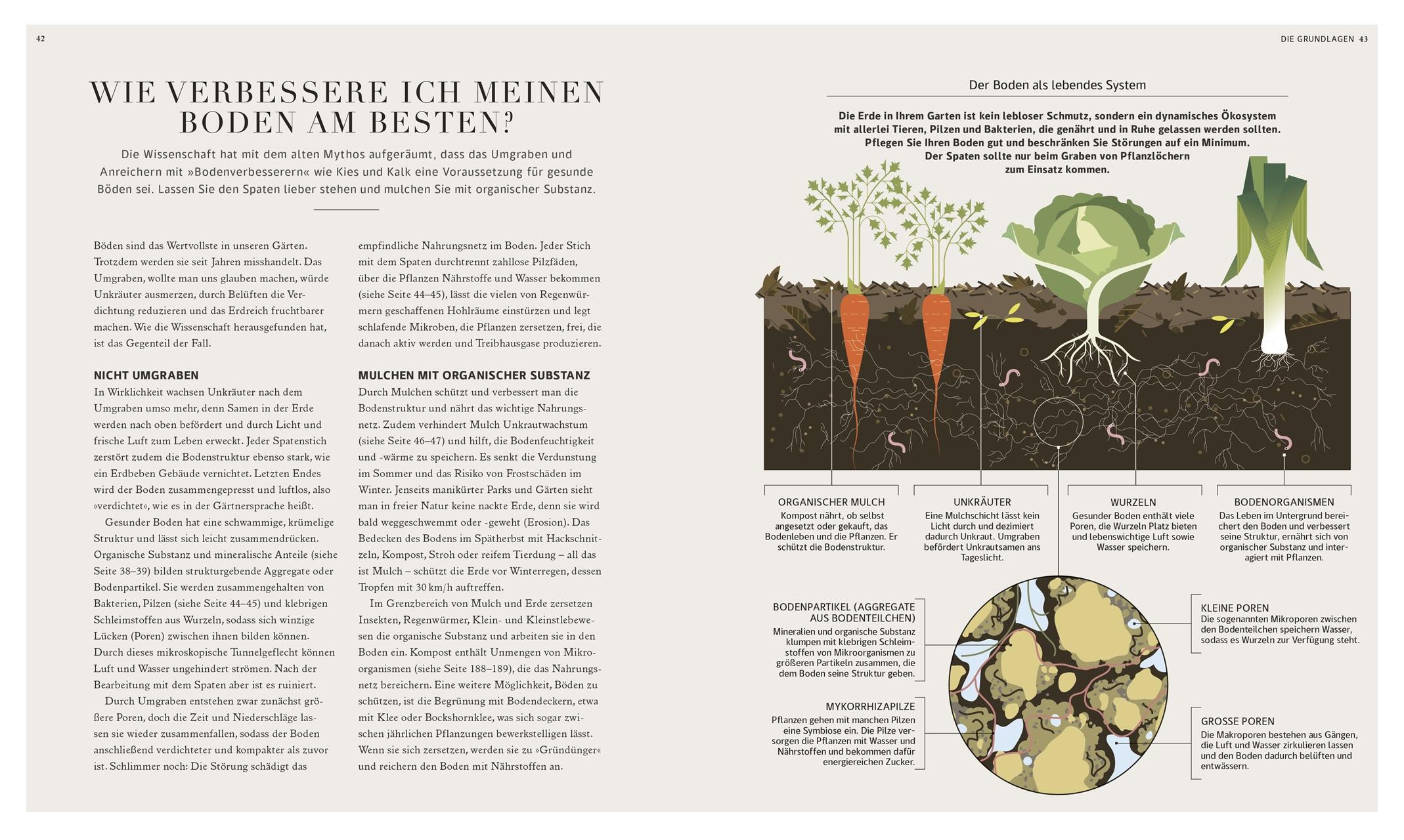 100 Fragen und Antworten zum Gärtnern