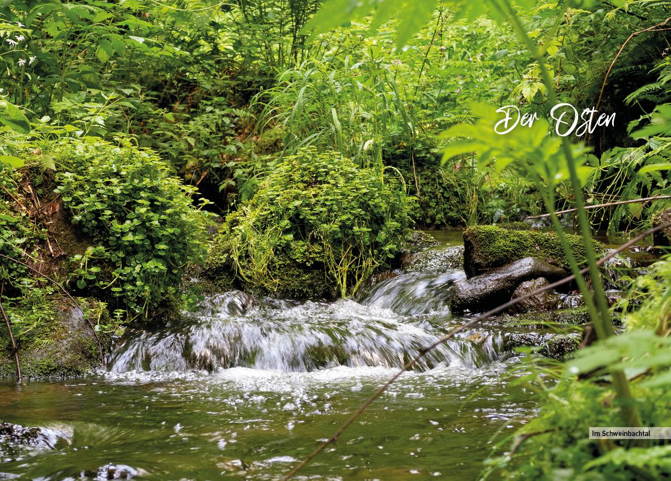 Schwarzwald - Der Norden - HeimatMomente