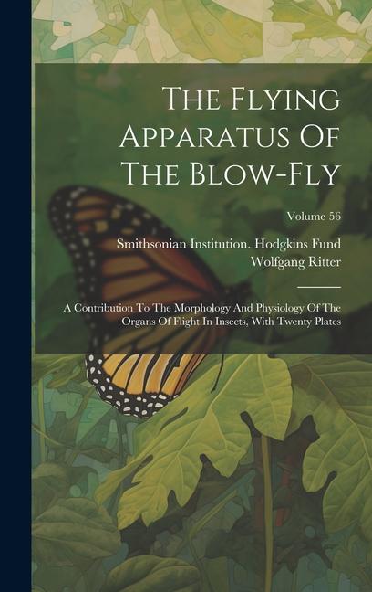 The Flying Apparatus Of The Blow-fly