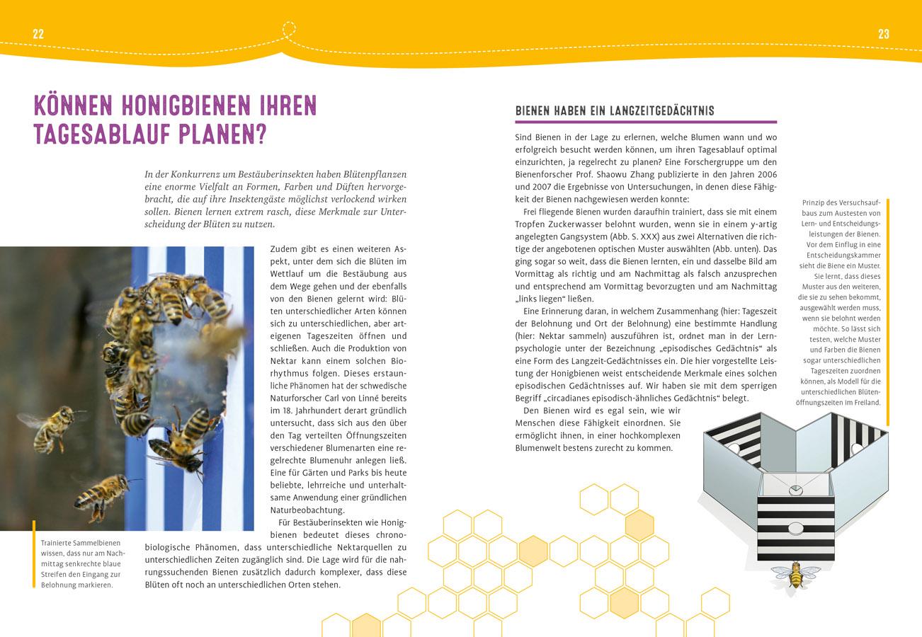 Auch Bienen haben Schweißfüße