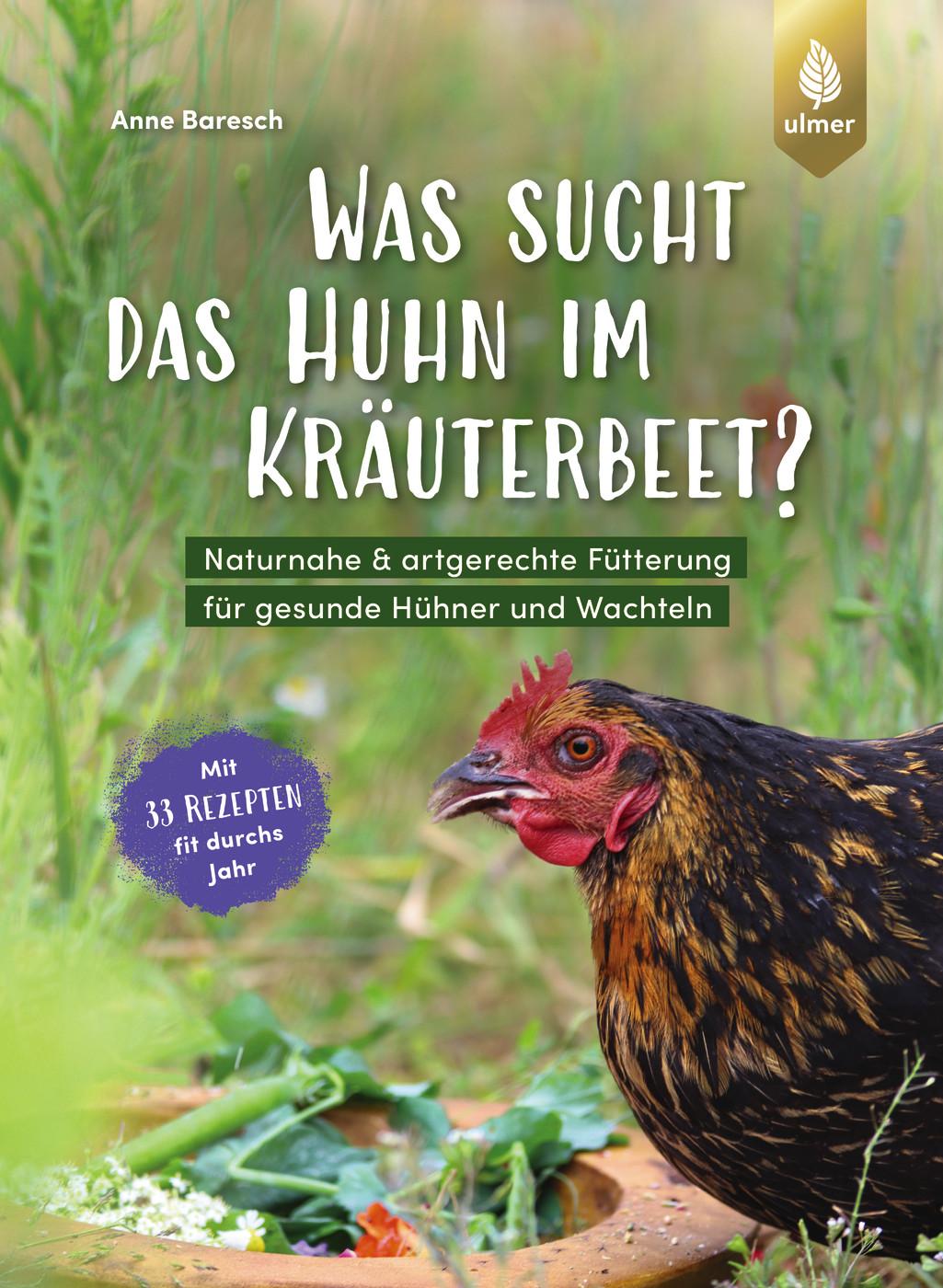 Was sucht das Huhn im Kräuterbeet?