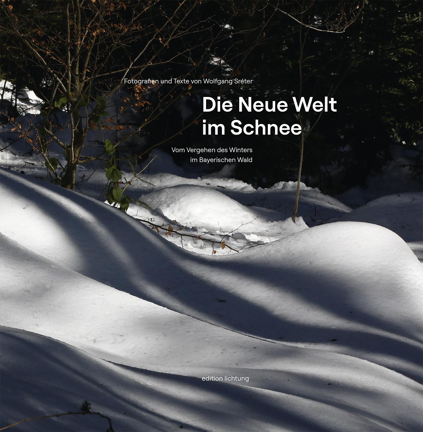 Die Neue Welt im Schnee