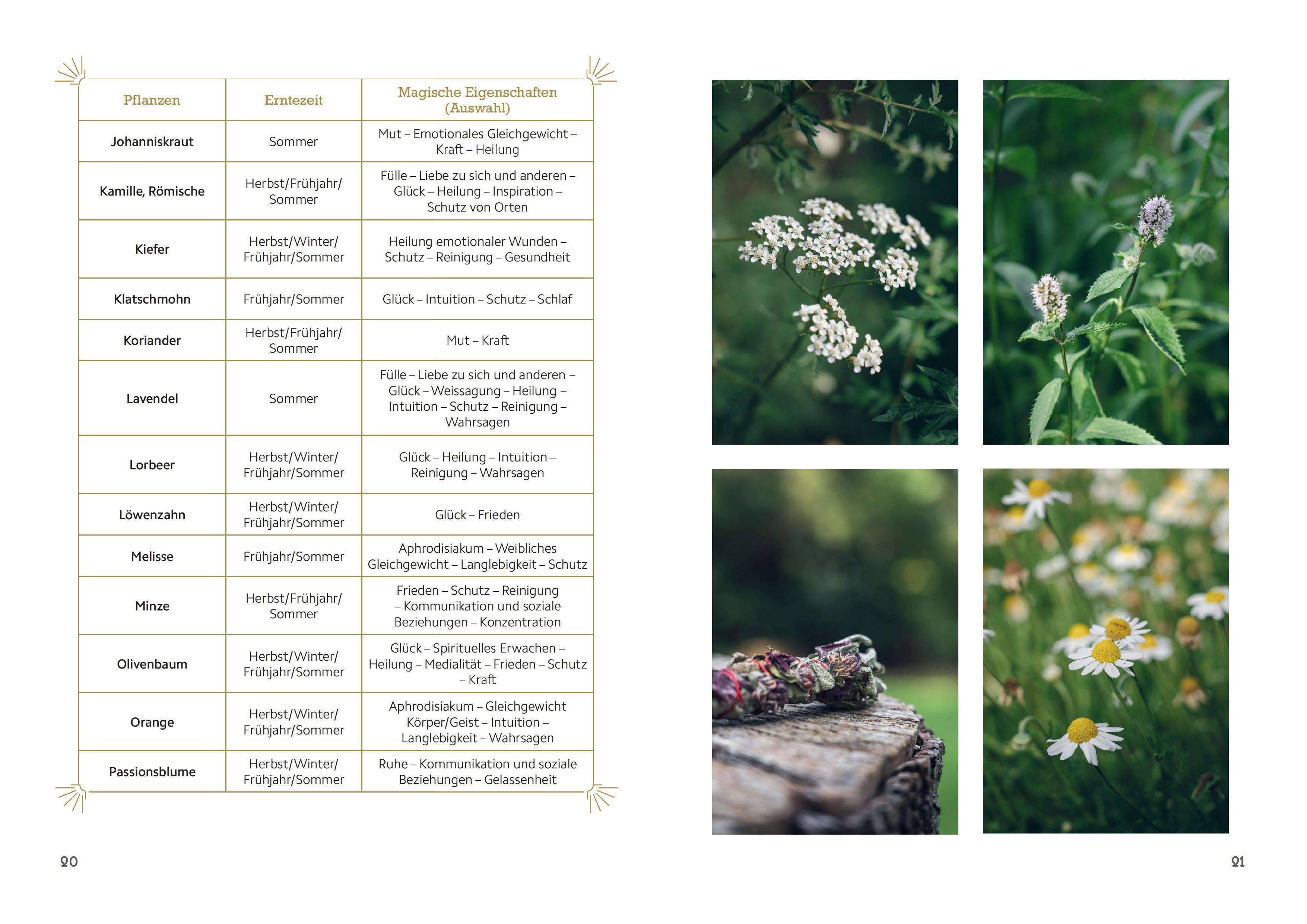 Magische Rituale mit Räucherbündeln. Pflanzen durchs Jahr sammeln, trocknen, binden, weihen, räuchern