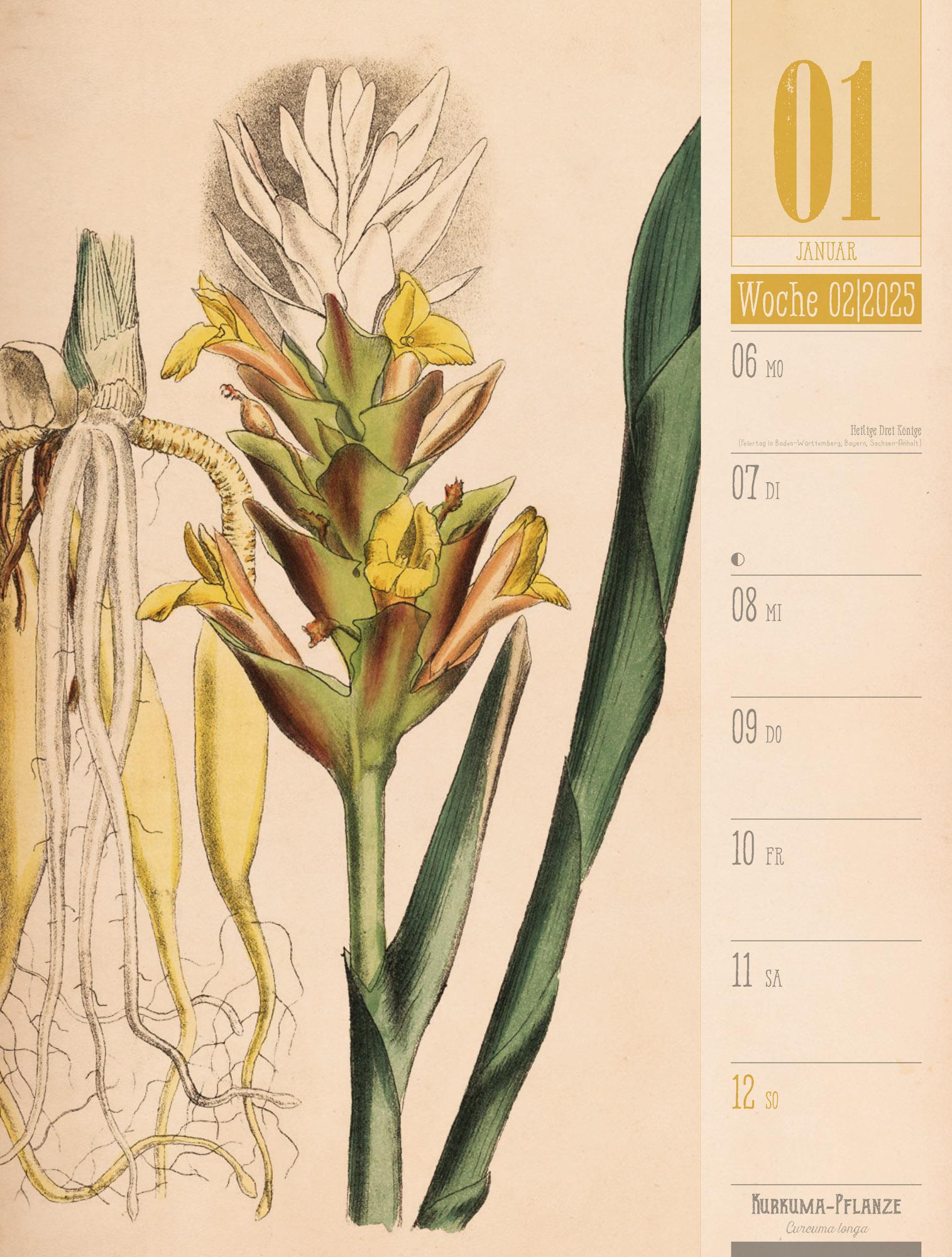 Culinarium - Küche, Kräuter, Kurioses - Vintage Wochenplaner Kalender 2025